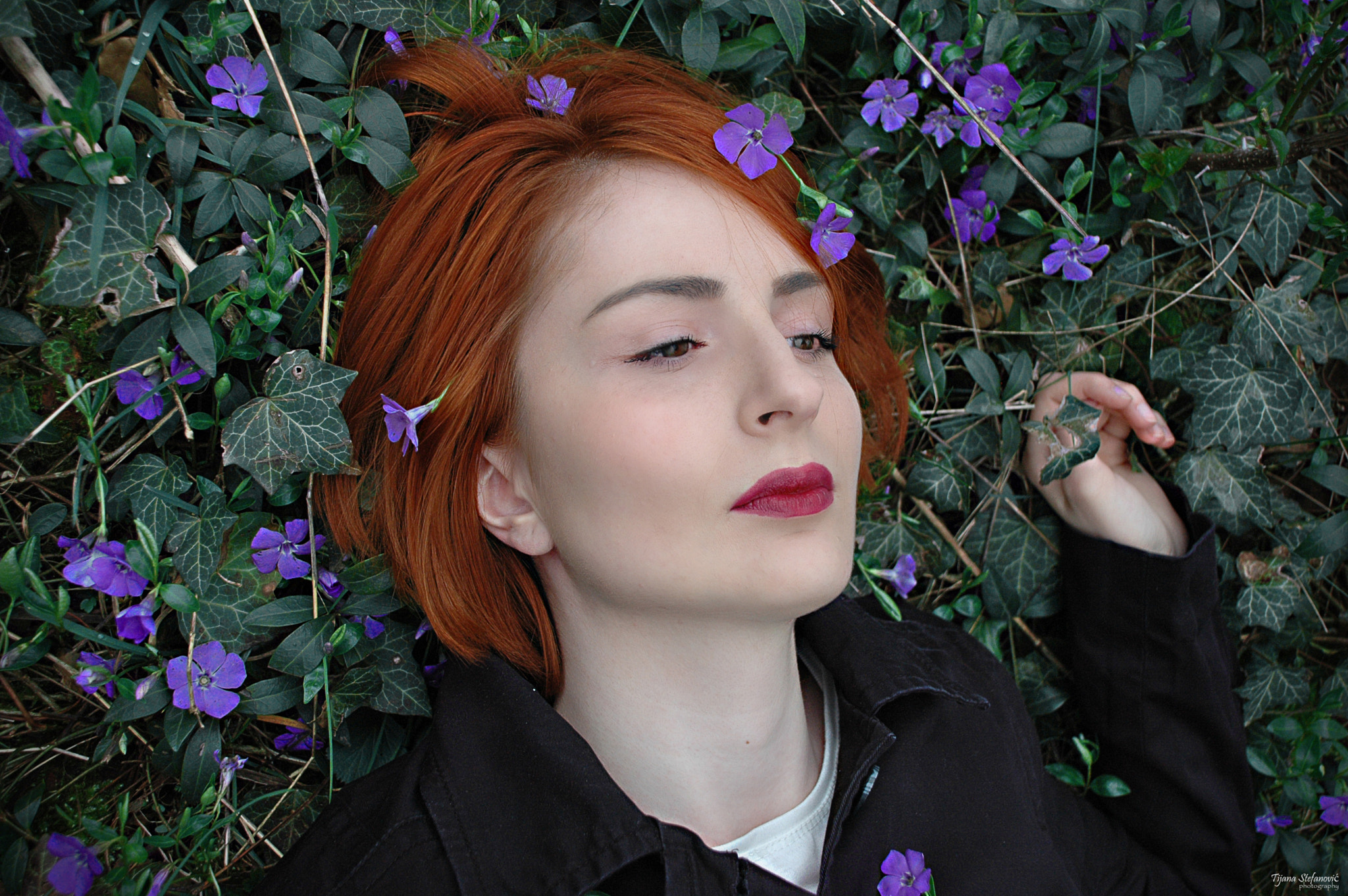 Nikon D70s sample photo. Ginger in spring ii photography
