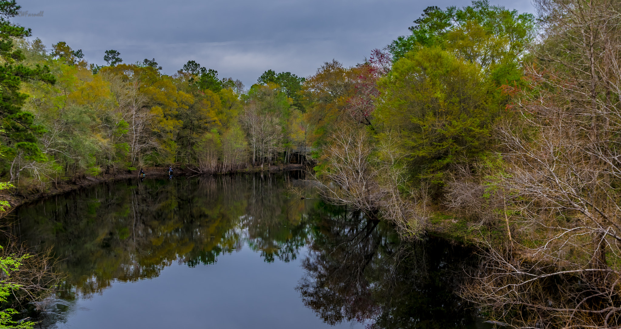 Sigma 17-70mm F2.8-4 DC Macro HSM Contemporary sample photo. North florida travels.. photography