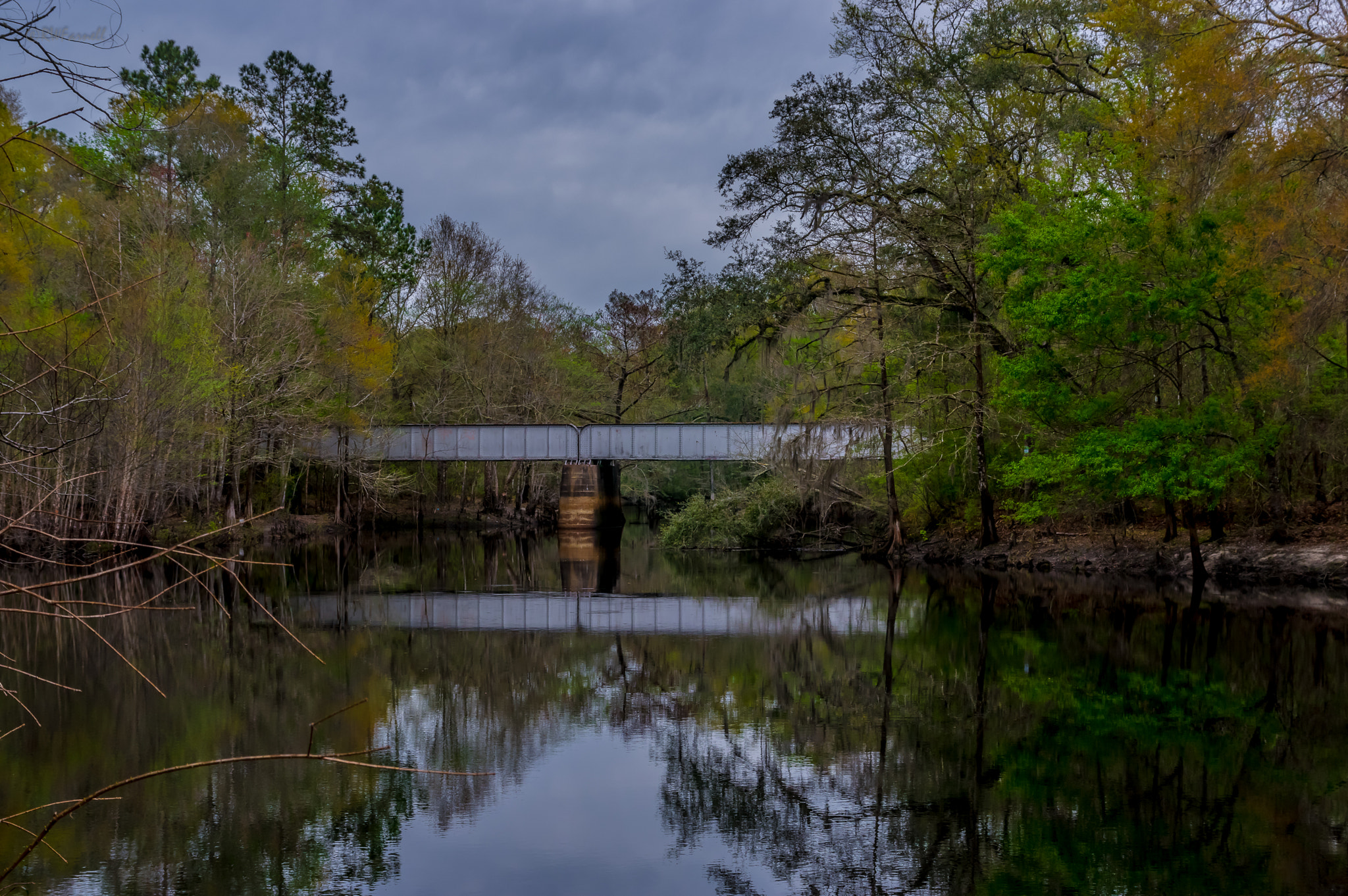 Sigma 17-70mm F2.8-4 DC Macro HSM Contemporary sample photo. North florida travels. photography