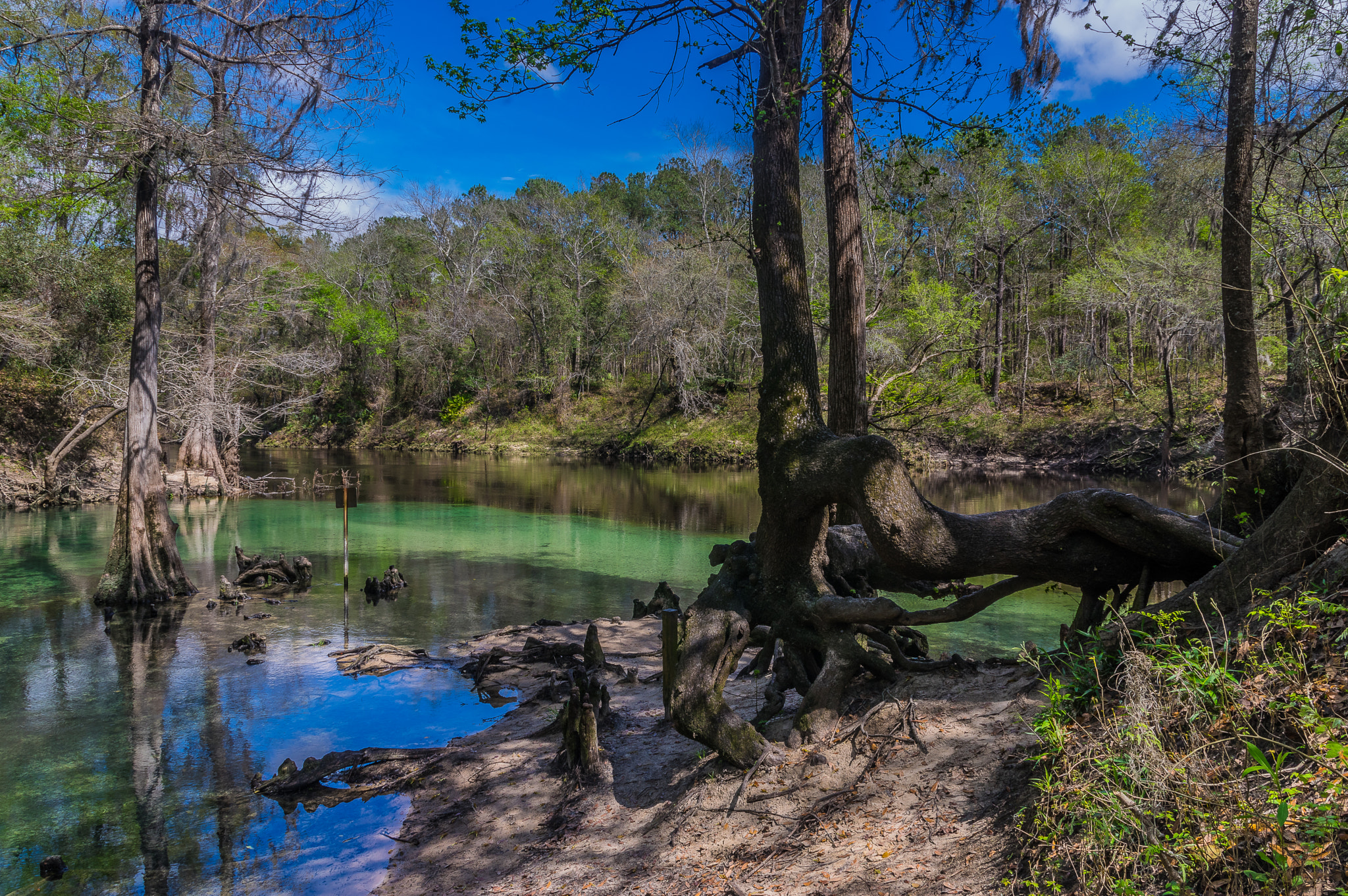 Sigma 17-70mm F2.8-4 DC Macro HSM Contemporary sample photo. North florida travels... photography