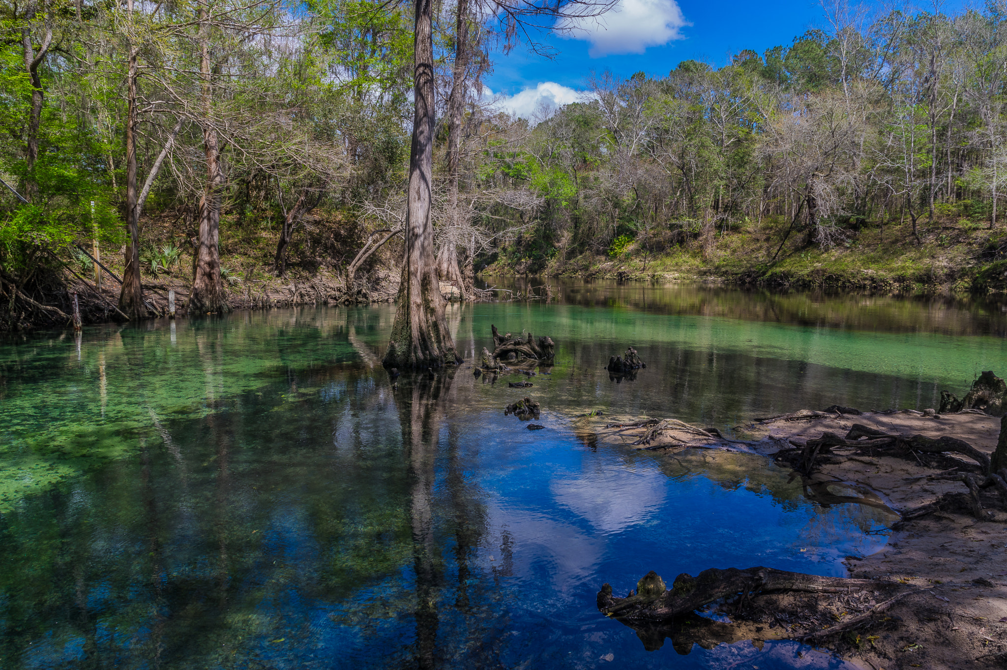 Sigma 17-70mm F2.8-4 DC Macro HSM Contemporary sample photo. North florida travels.... photography