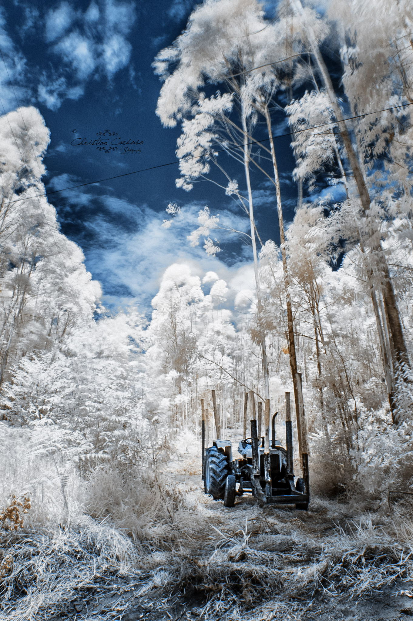 Nikon D70s sample photo. Rural photography