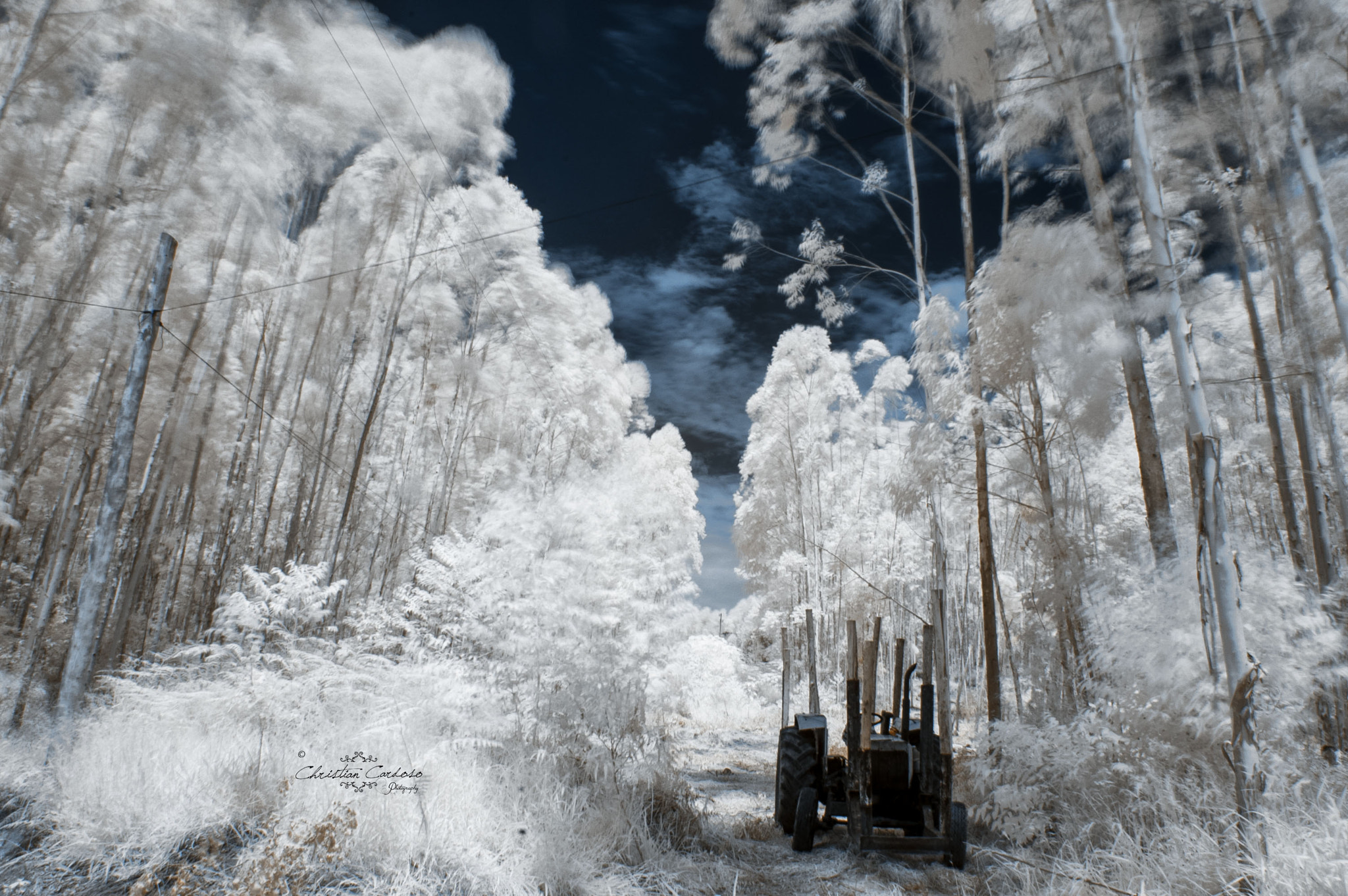 Nikon D70s sample photo. Rural photography