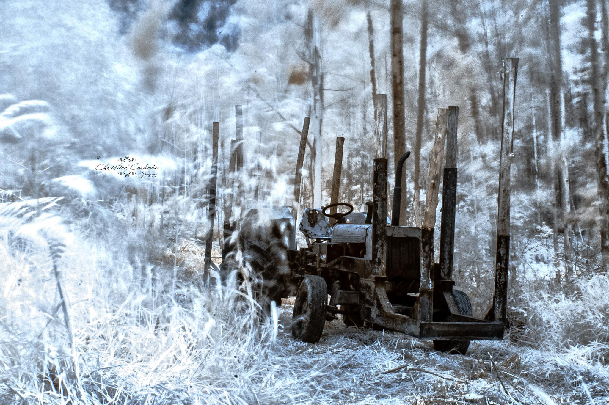 Nikon D70s sample photo. Rural photography