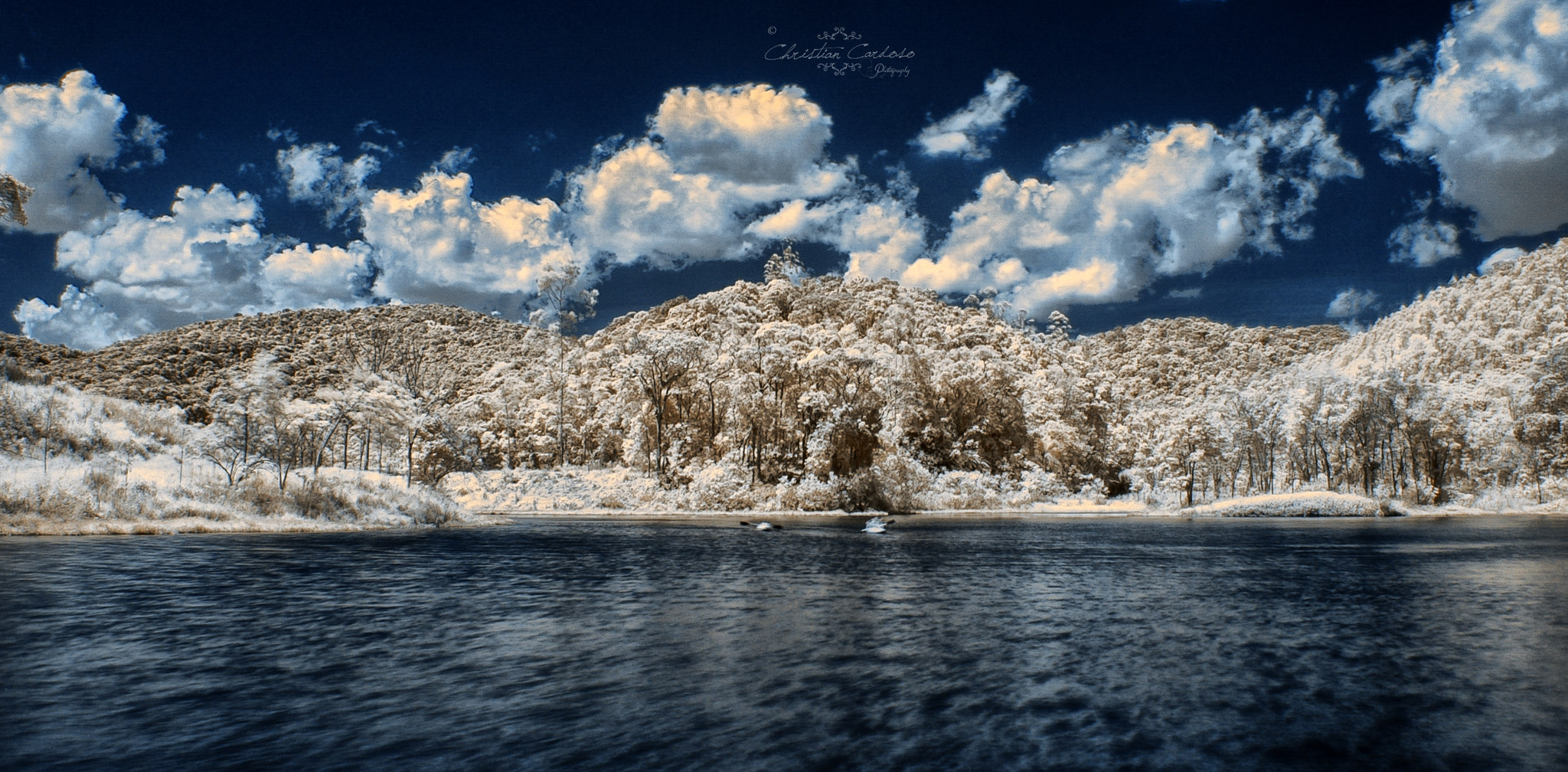 Nikon D70s sample photo. Infrared photography
