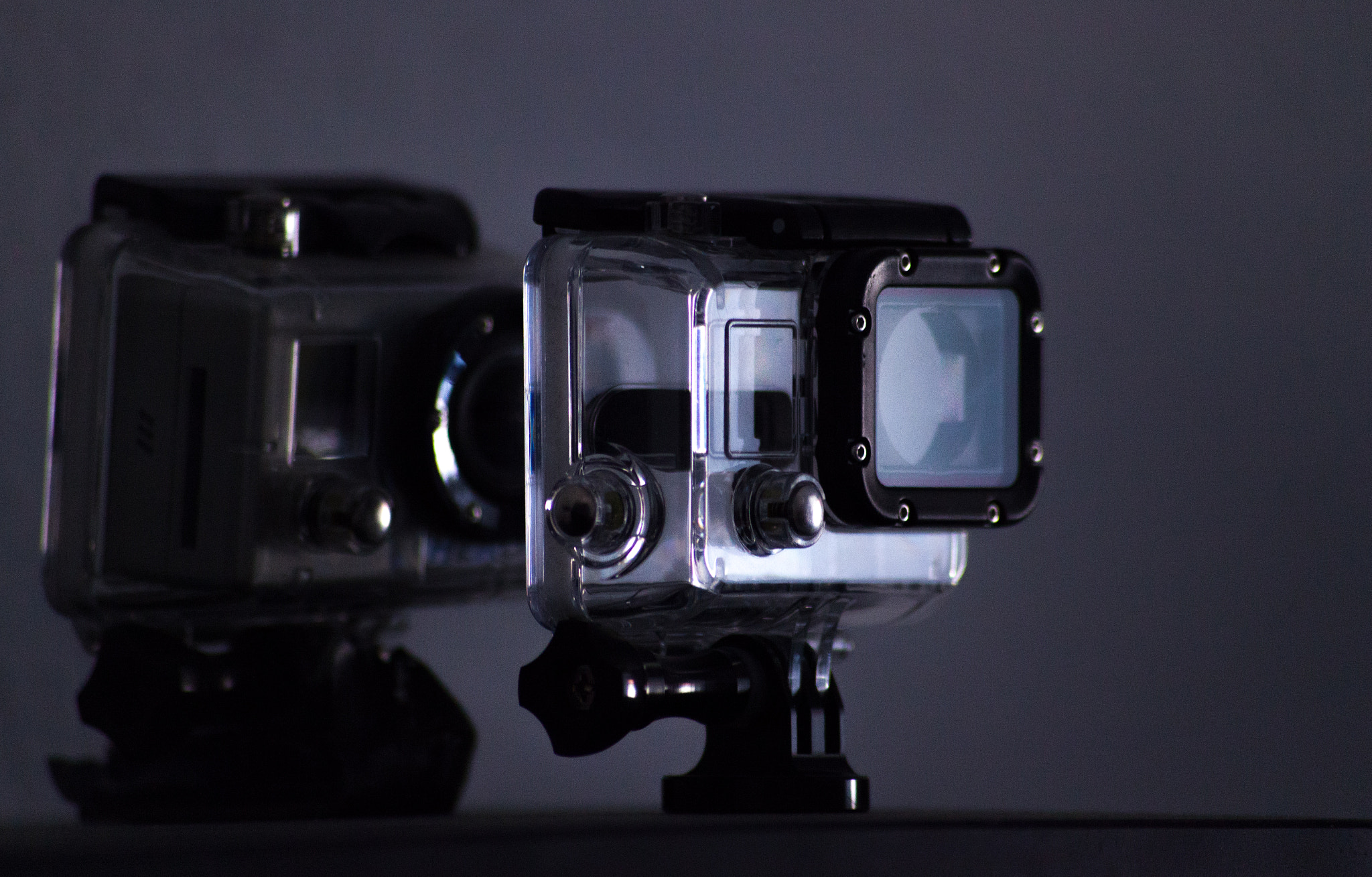 Sigma 70-300mm F4-5.6 APO DG Macro sample photo. Evolution-dark-to-light photography