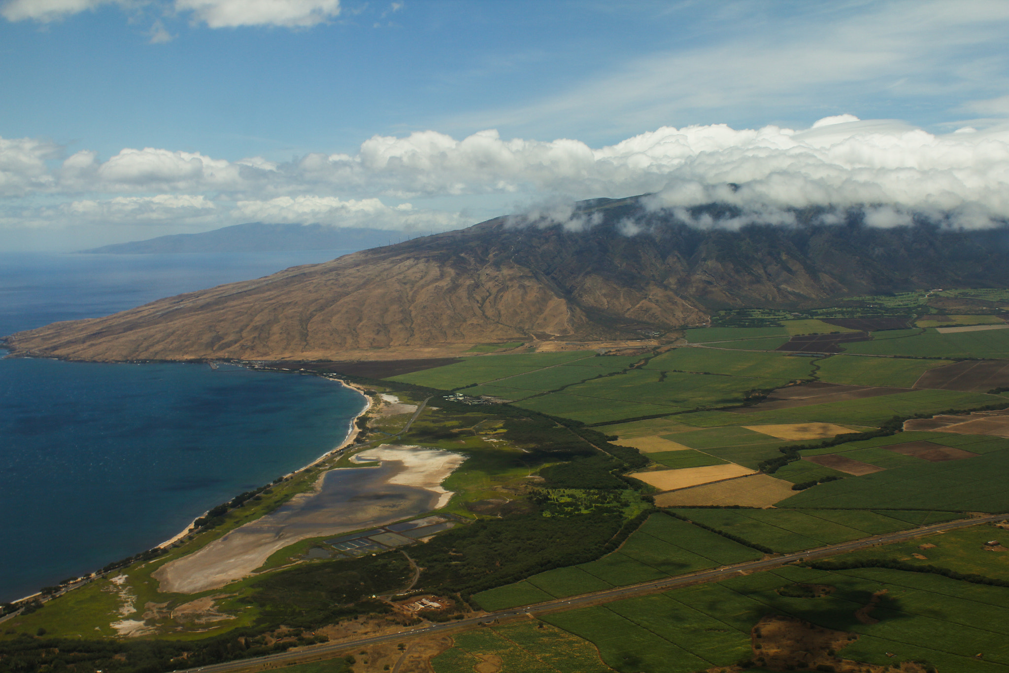 Hawaiian Airlines