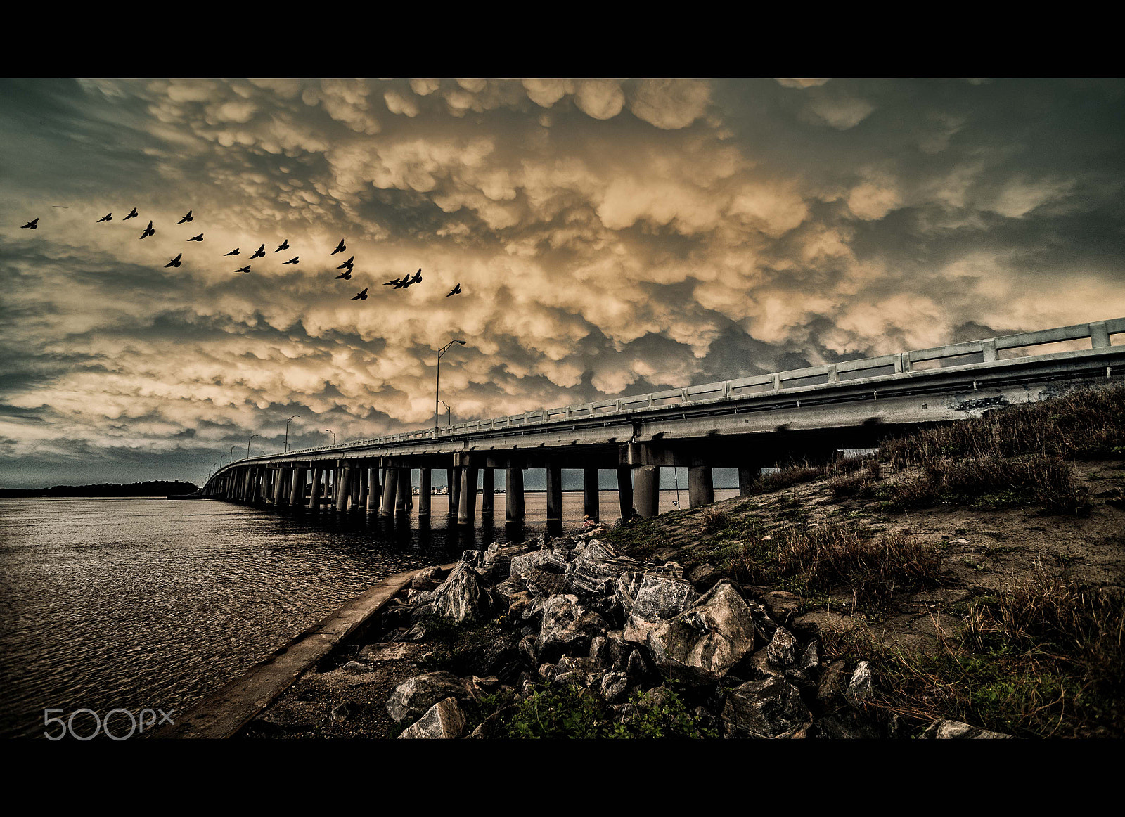 Sony Alpha NEX-3N + Sony E 16mm F2.8 sample photo. Flying high panama city, fl,  usa photography