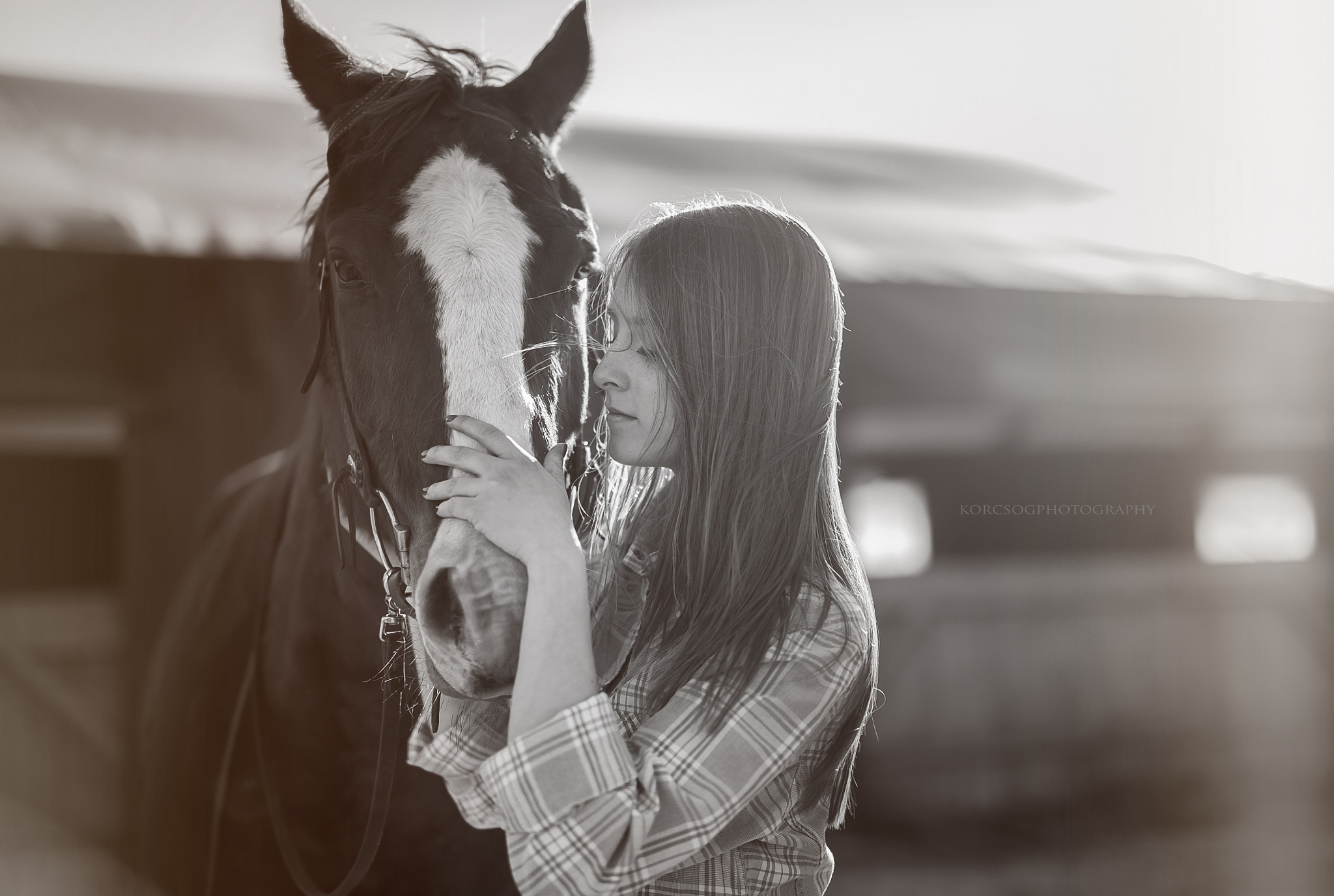 Canon EOS 5DS + ZEISS Milvus 50mm F1.4 sample photo. Reki photography