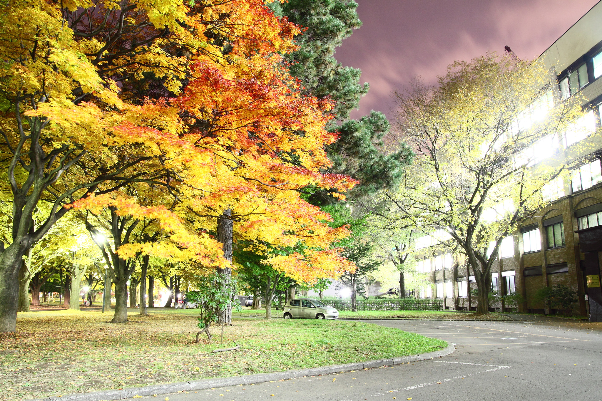 Canon 17-50mm sample photo. Autumn of hokkaido university photography