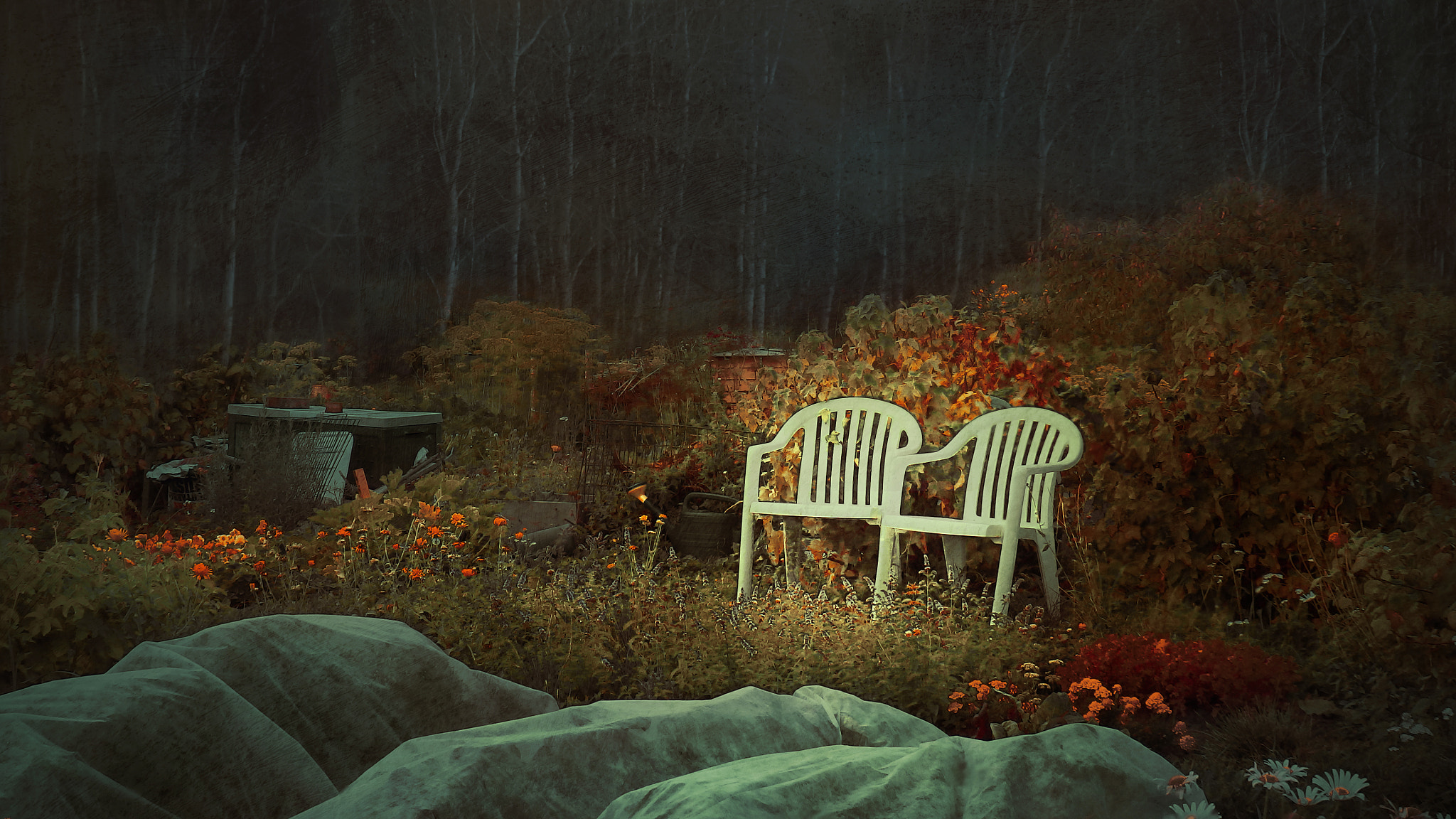 Olympus SH-1 sample photo. Garden 11 solitude photography