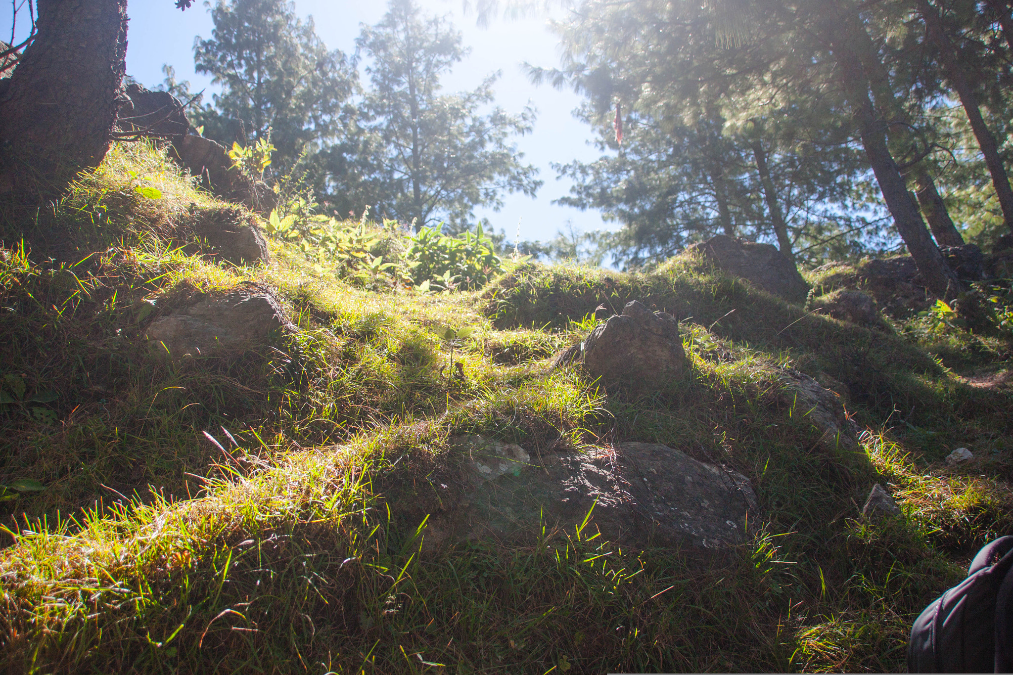 Sigma 18-250mm F3.5-6.3 DC OS HSM sample photo. Magical path photography