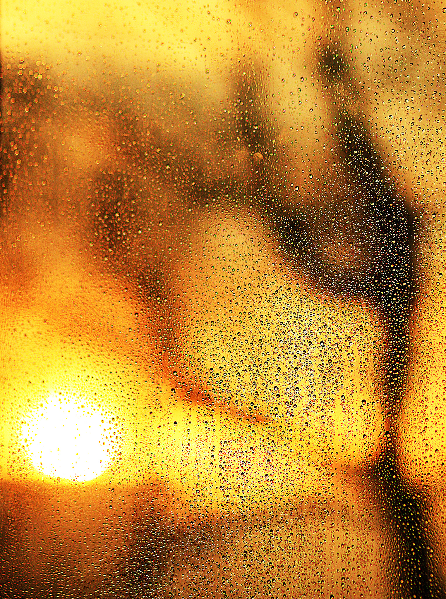 Canon EOS 70D + Canon EF 100mm F2.0 USM sample photo. Sunset photography