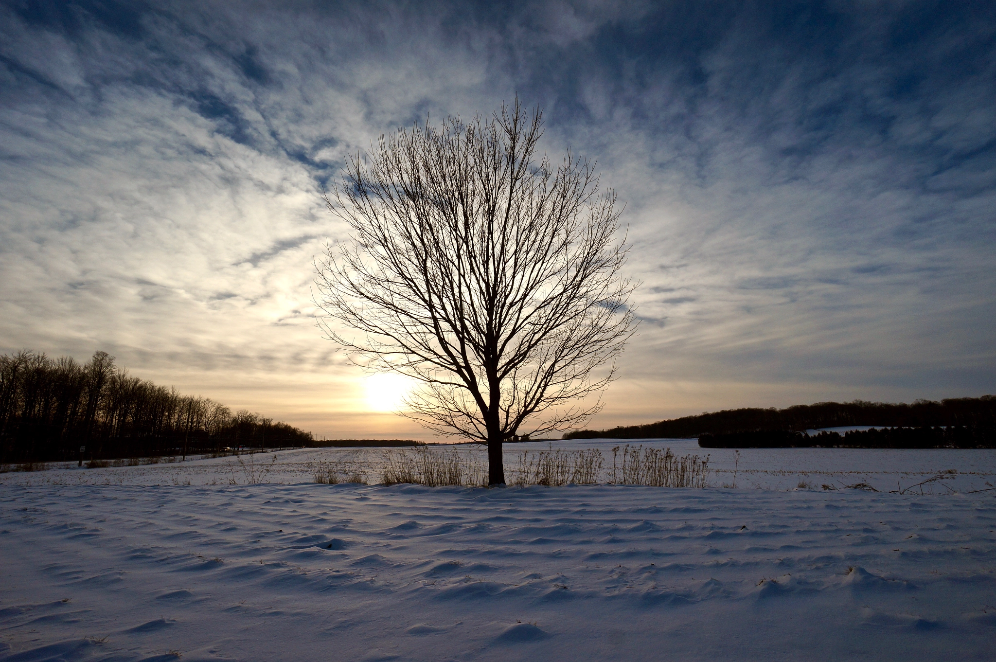 Sony E 10-18mm F4 OSS sample photo. Winter tree at sunset photography