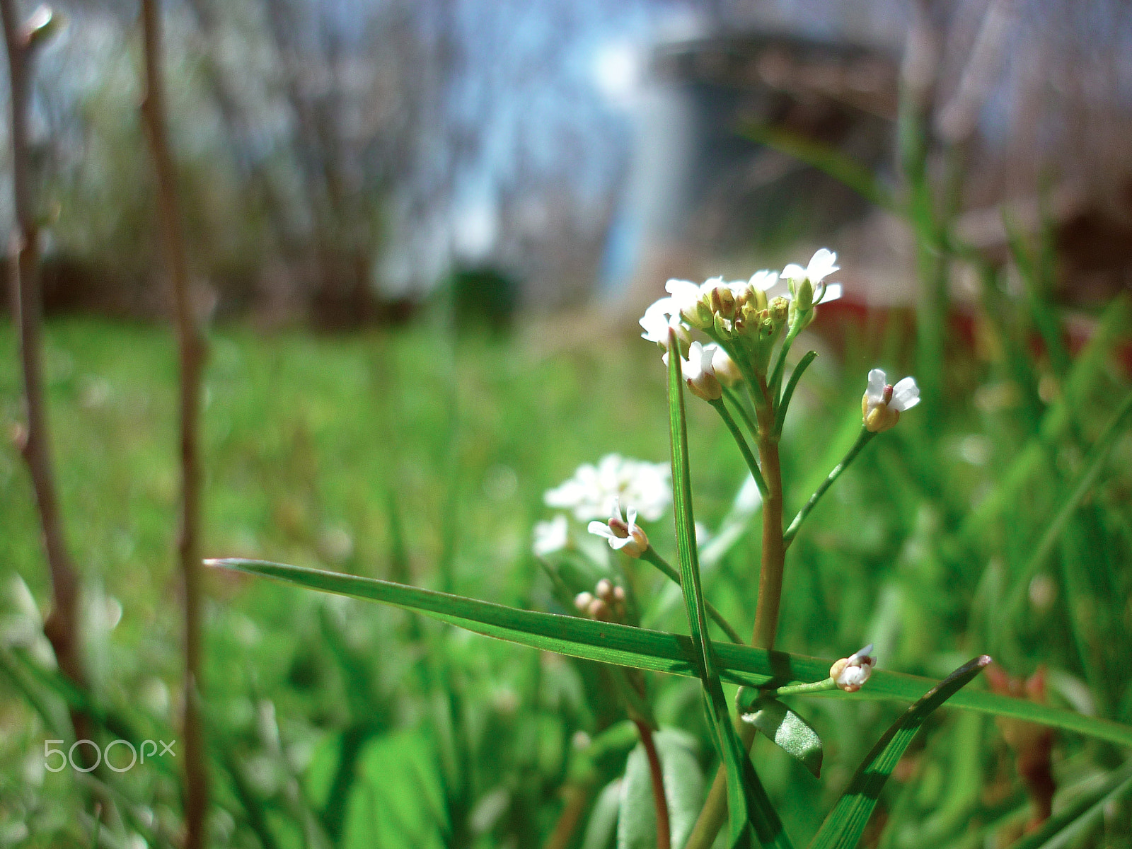 Panasonic DMC-FS42 sample photo. Crossing spades. photography