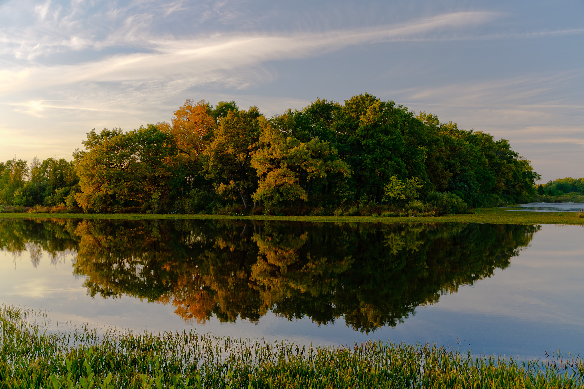 Sigma 18-200mm F3.5-6.3 II DC OS HSM sample photo. Summer gone photography