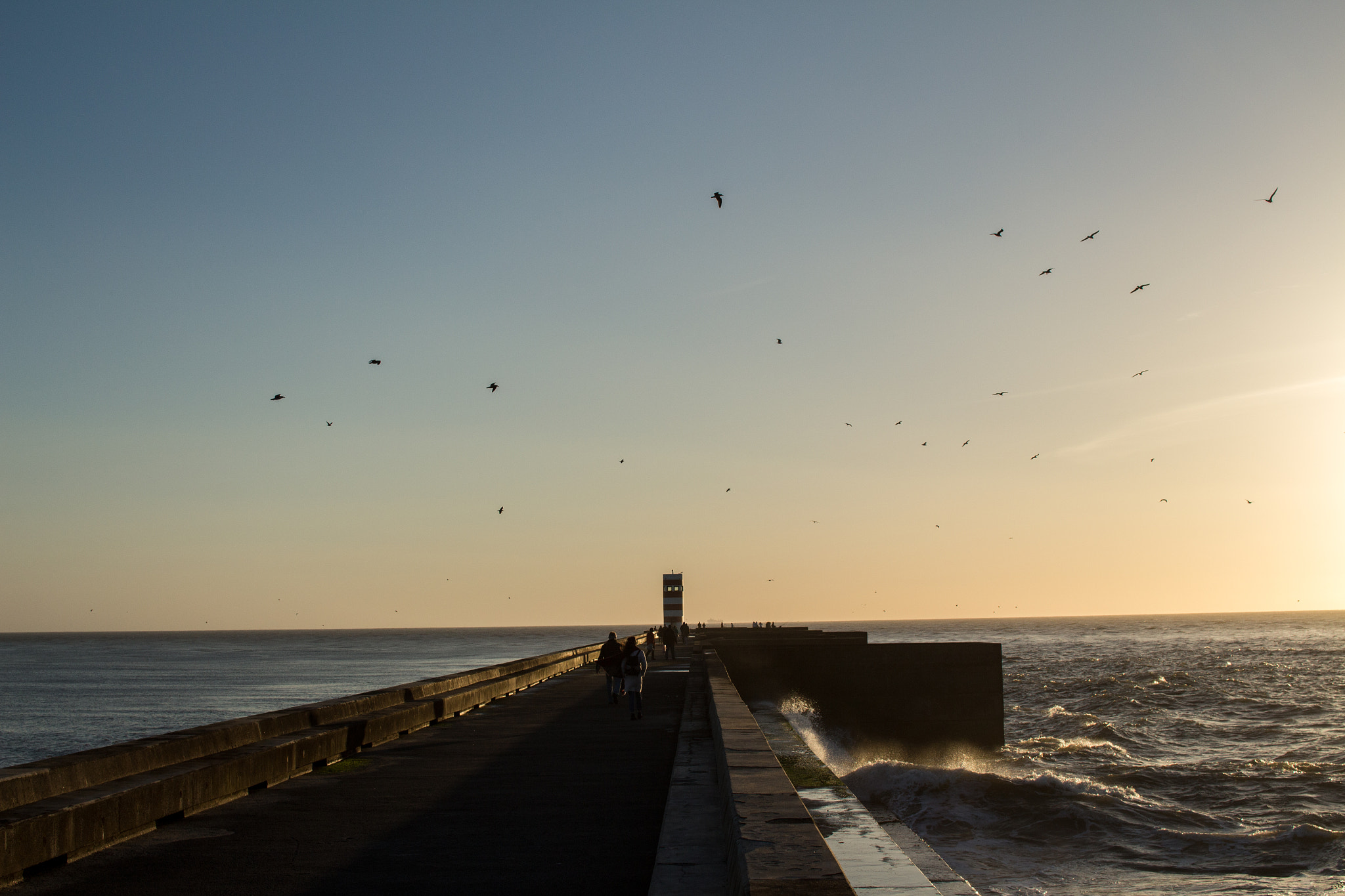 Sigma 30mm F1.4 EX DC HSM sample photo. Sunset photography