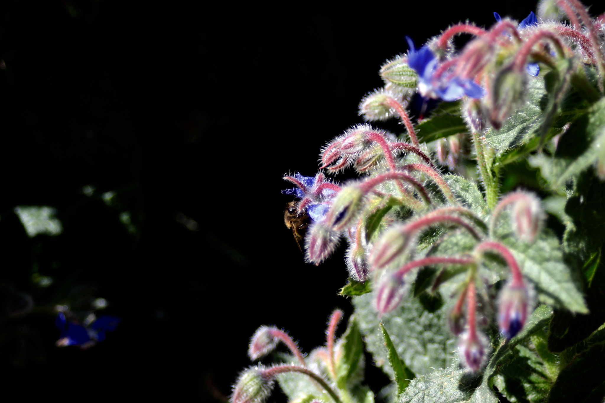 Canon EF 28-80mm f/3.5-5.6 sample photo. . photography