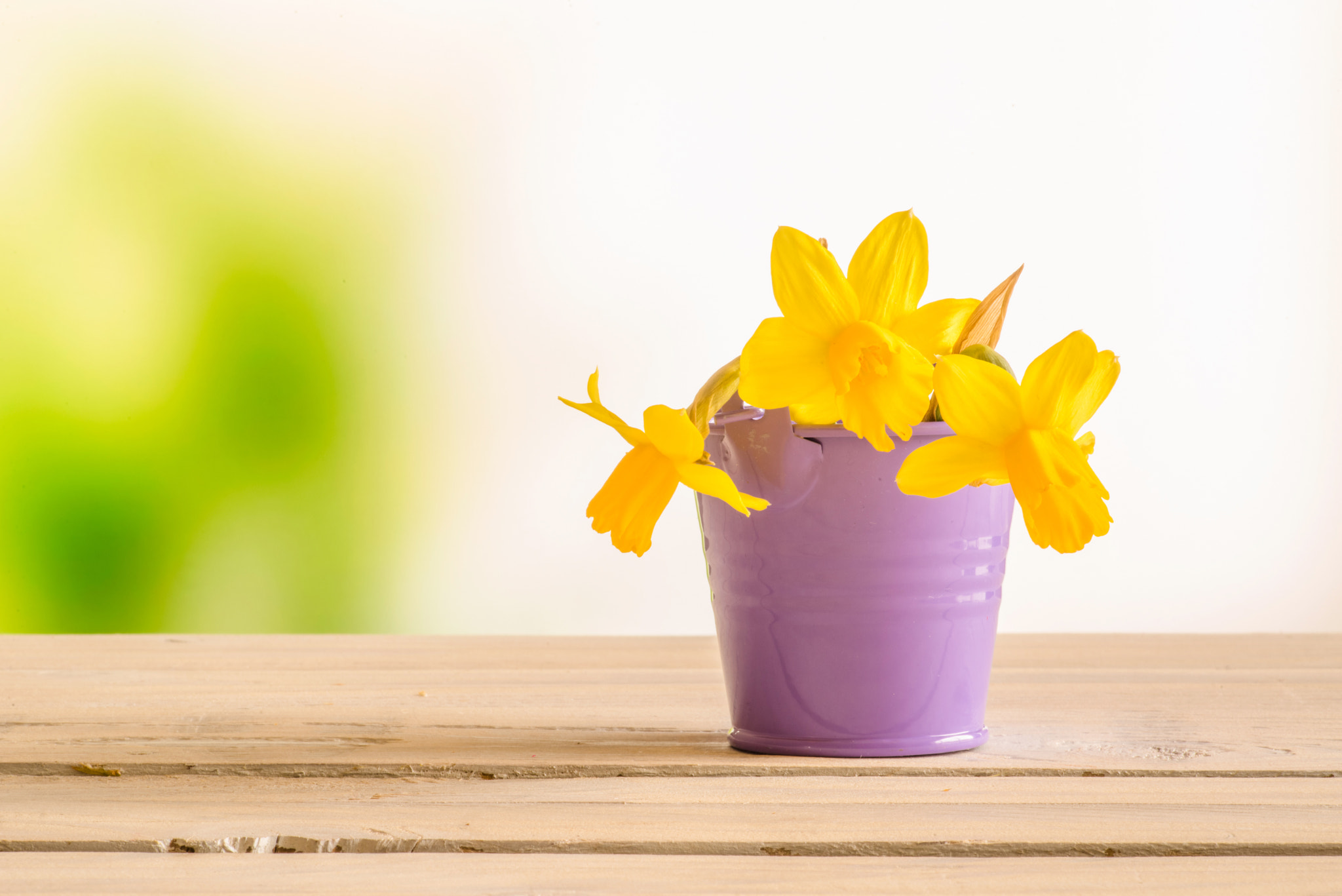 Sony a7R + Minolta AF 100mm F2.8 Macro [New] sample photo. Daffodils in a purple bucket photography