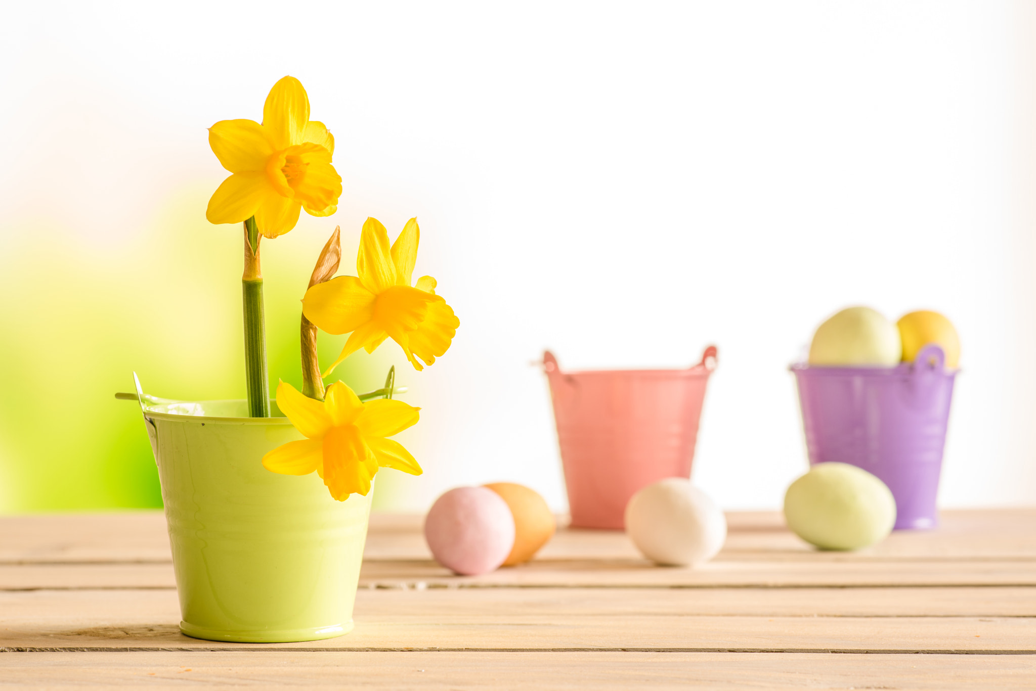 Sony a7R + Minolta AF 100mm F2.8 Macro [New] sample photo. Daffodils in the easter on a wooden table photography