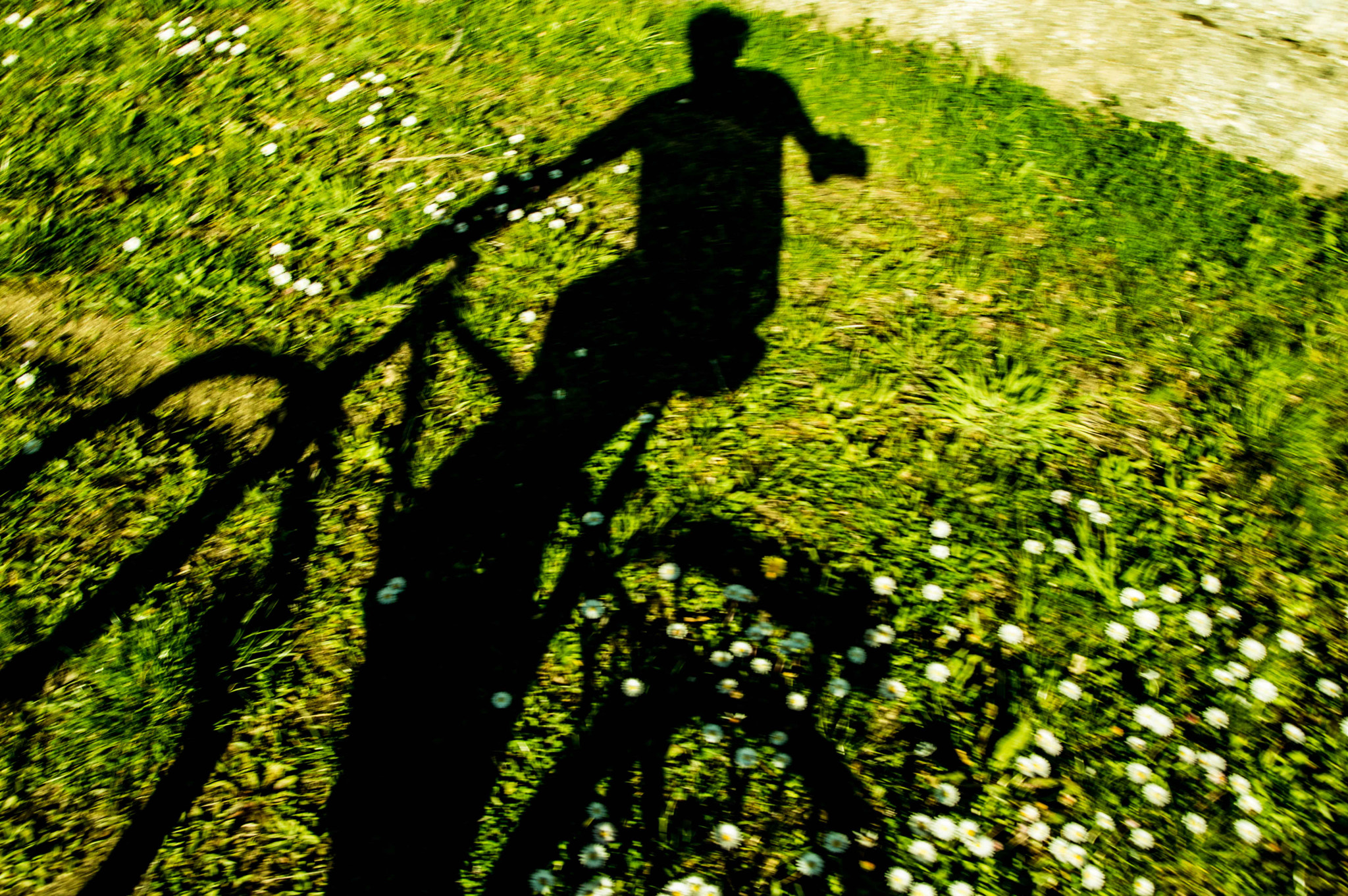 Sigma 17-70mm F2.8-4 DC Macro OS HSM sample photo. Bikes and photos photography