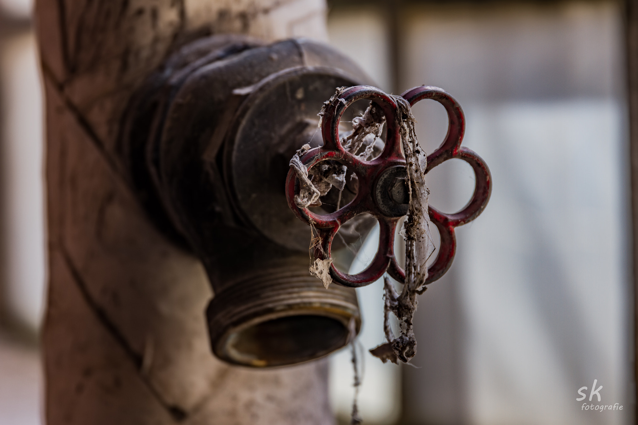 Sigma 24-105mm f/4 DG OS HSM | A sample photo. Old valve photography