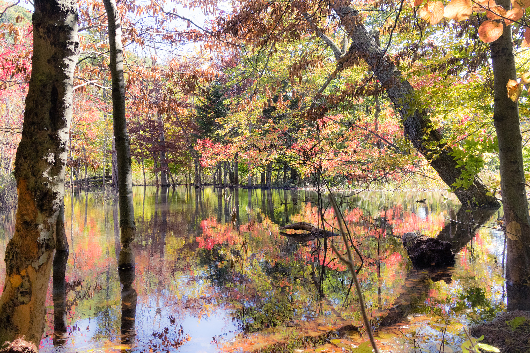 Canon EOS M2 + Canon EF-M 22mm F2 STM sample photo. Reflections while fall hiking photography