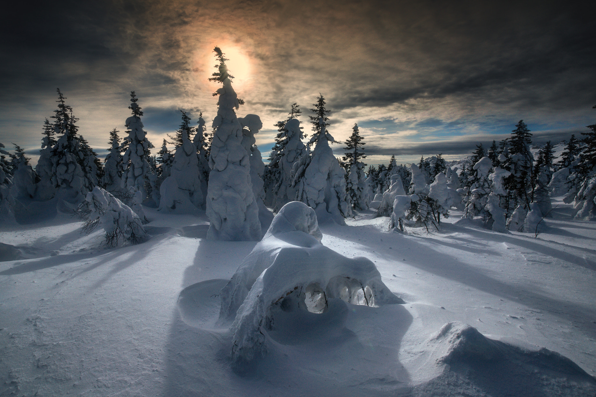 Sony Alpha DSLR-A850 + Sony Vario-Sonnar T* 16-35mm F2.8 ZA SSM sample photo. Taiga sun photography