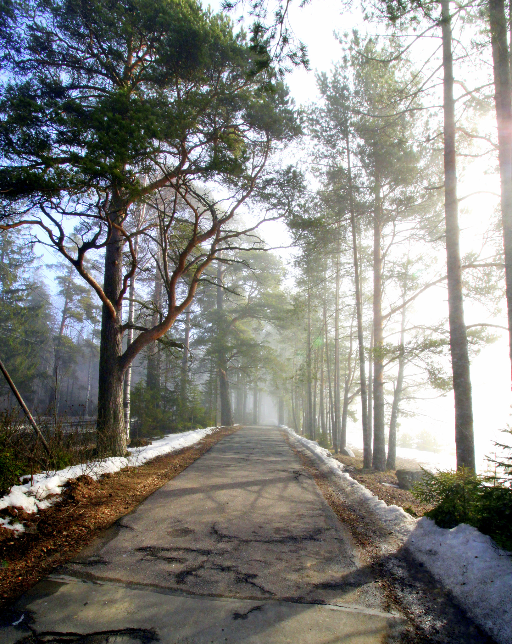 Canon EF-S 10-18mm F4.5–5.6 IS STM sample photo. Fog photography