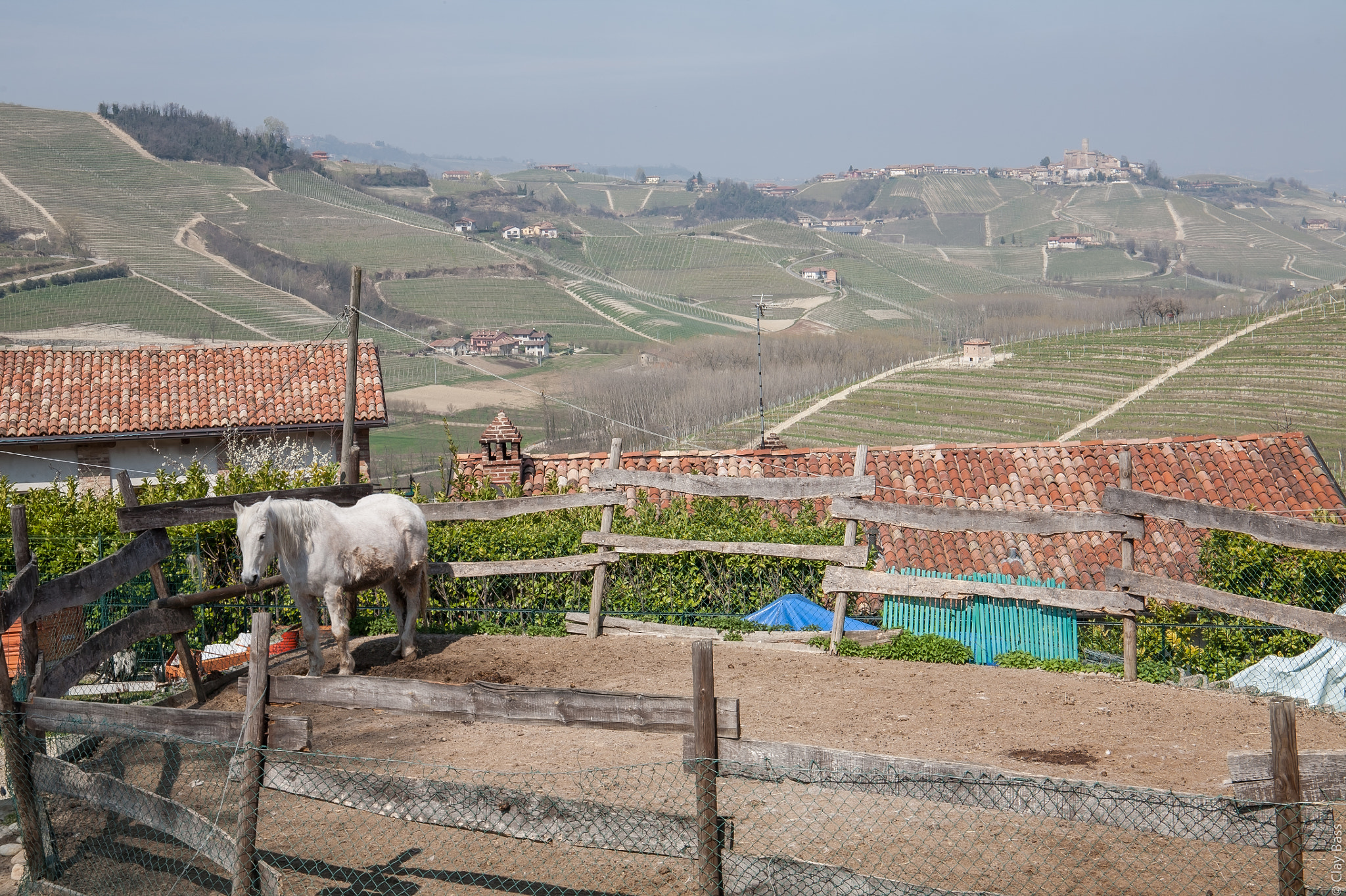 Canon EF 24-105mm F3.5-5.6 IS STM sample photo. Un cavallo in mezzo alle langhe photography