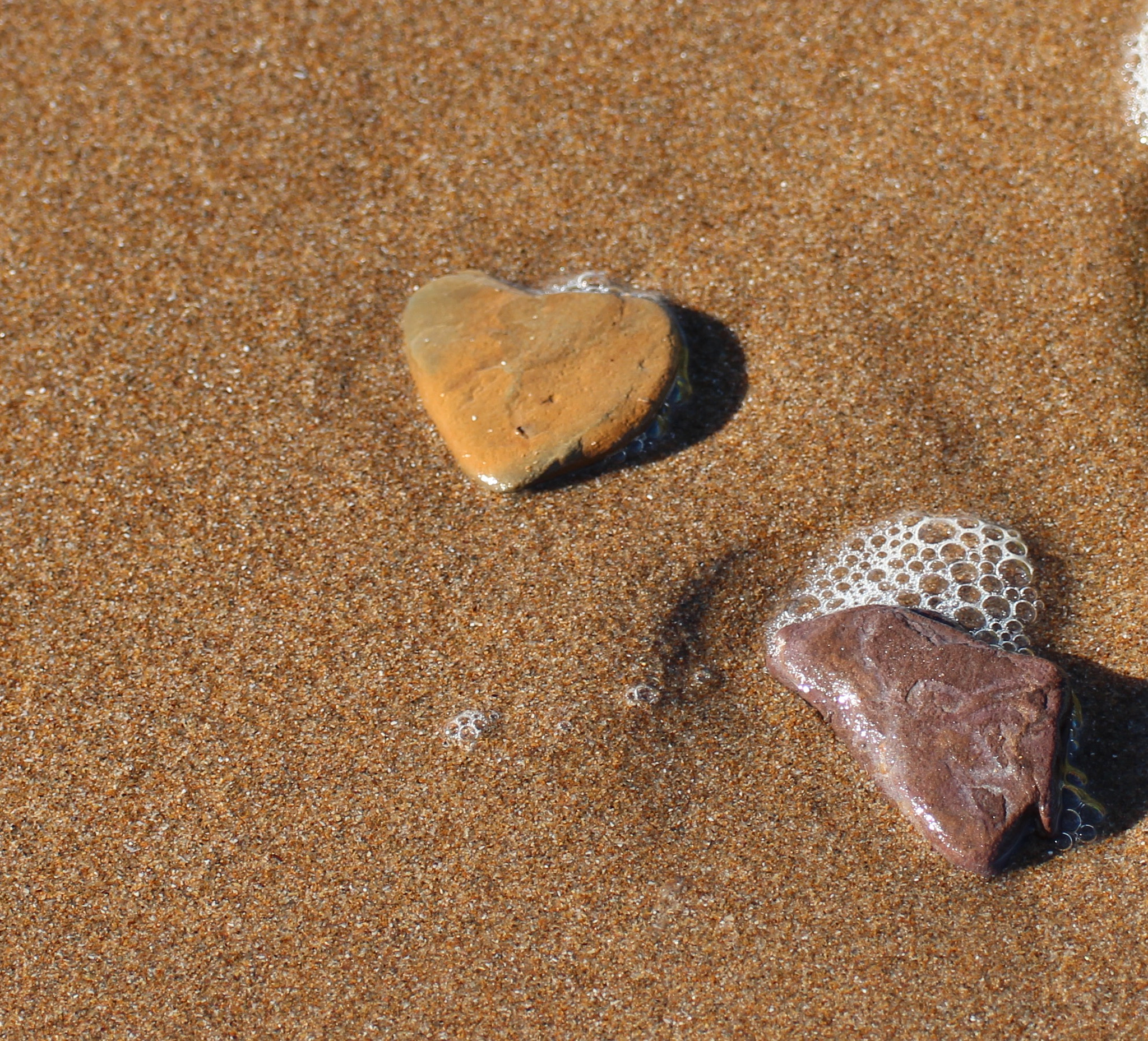 Canon EOS 600D (Rebel EOS T3i / EOS Kiss X5) + Canon 70-300mm sample photo. Love pebble photography