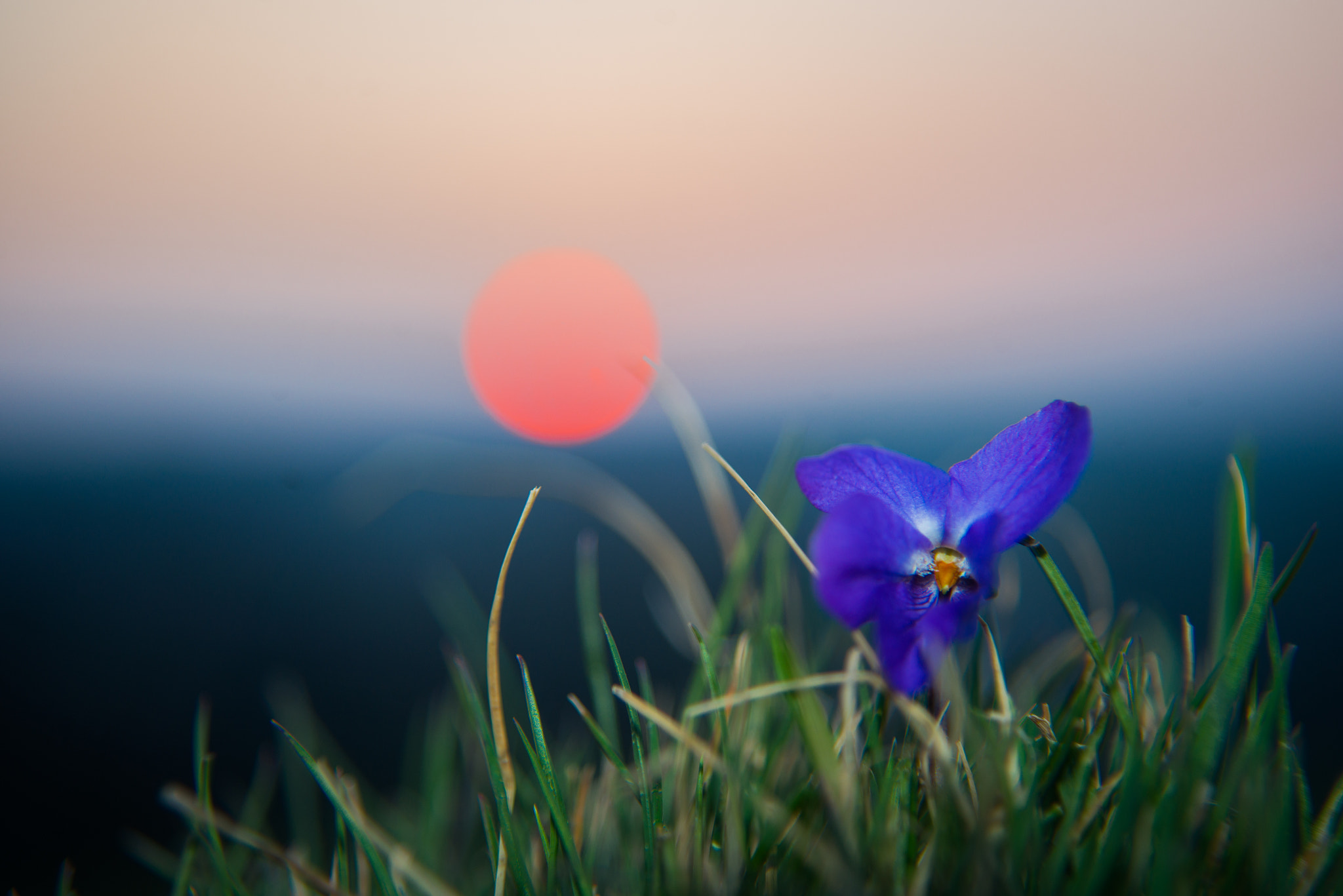 AF Zoom-Nikkor 28-80mm f/3.3-5.6G sample photo. Miniworld '2' photography