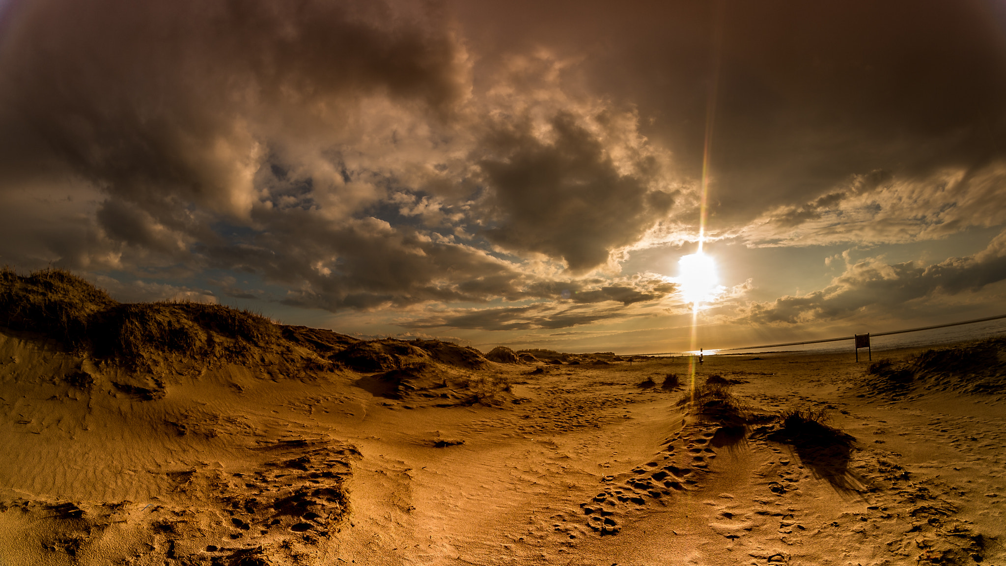 Nikon D4 + Samyang 8mm F3.5 Aspherical IF MC Fisheye sample photo. Golden beach photography