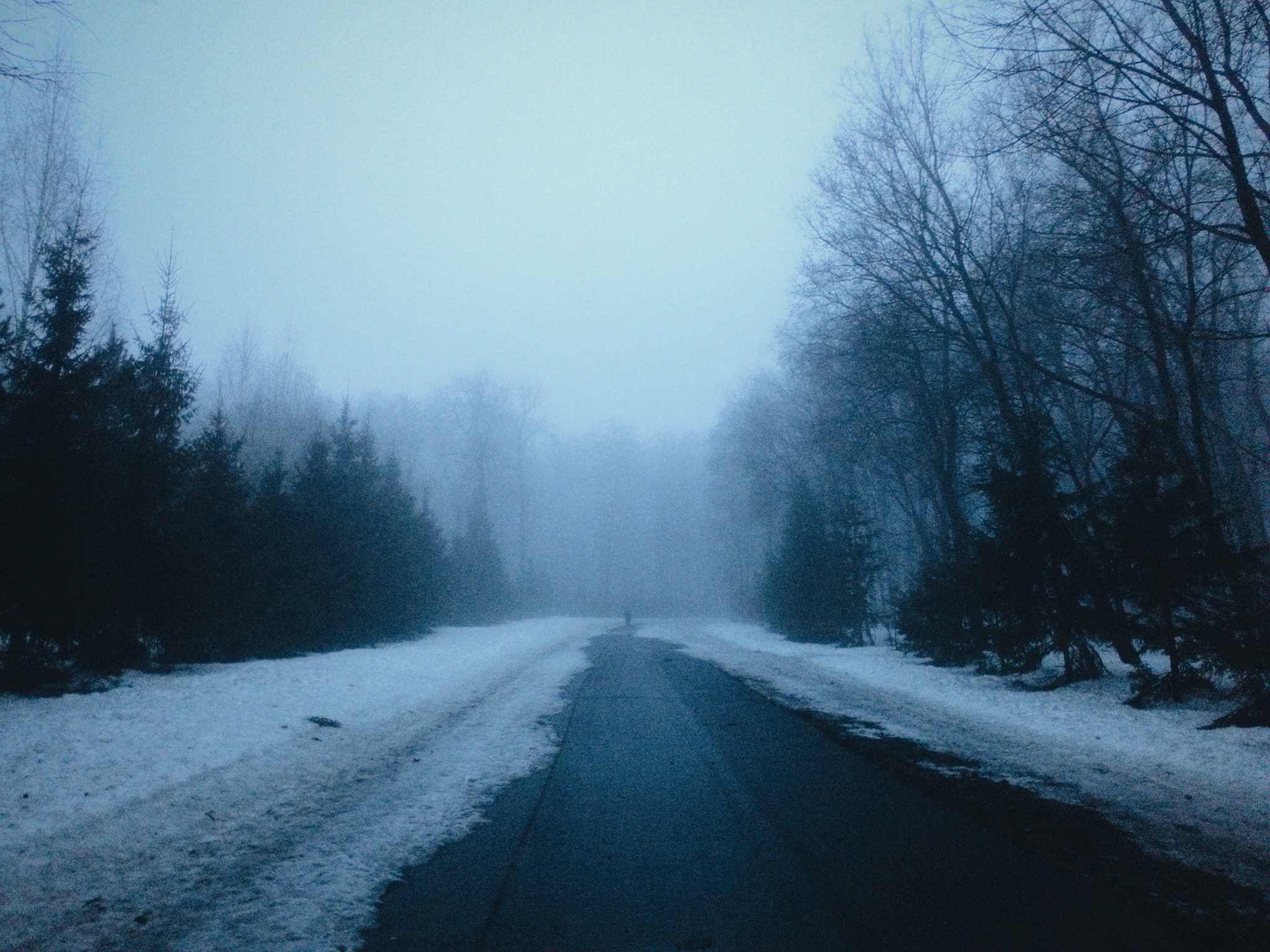 ASUS Z007 sample photo. Foggy day photography