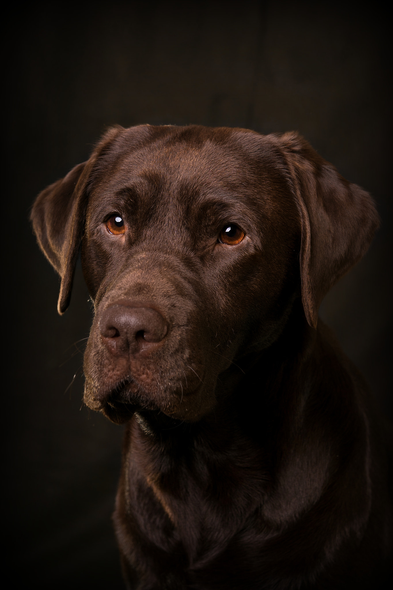 Sony ILCA-77M2 sample photo. Hanna portrait  photography