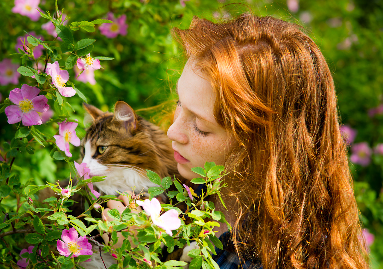 Sony Alpha DSLR-A850 + Sony 85mm F2.8 SAM sample photo. Summer flowers photography