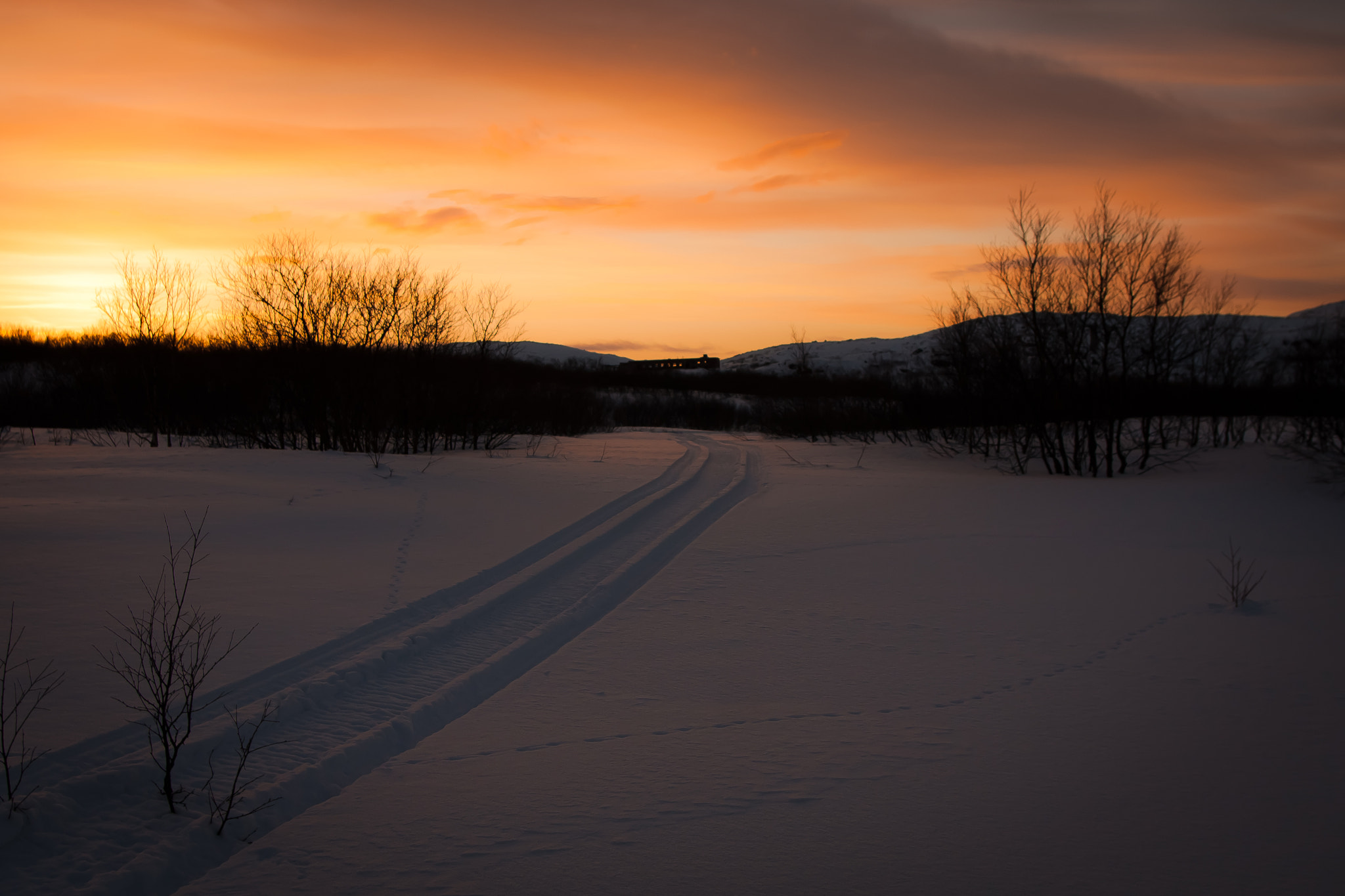 Canon EOS 40D + Sigma 20mm EX f/1.8 sample photo. Дорога в целине photography