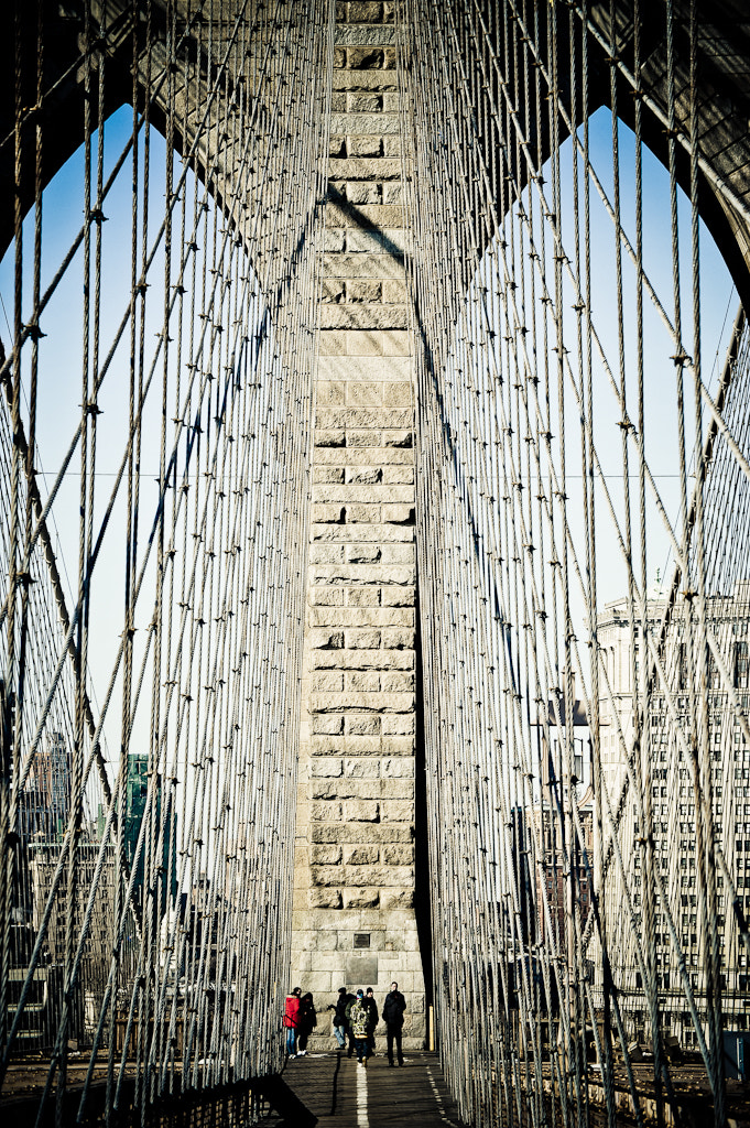 Nikon D3S sample photo