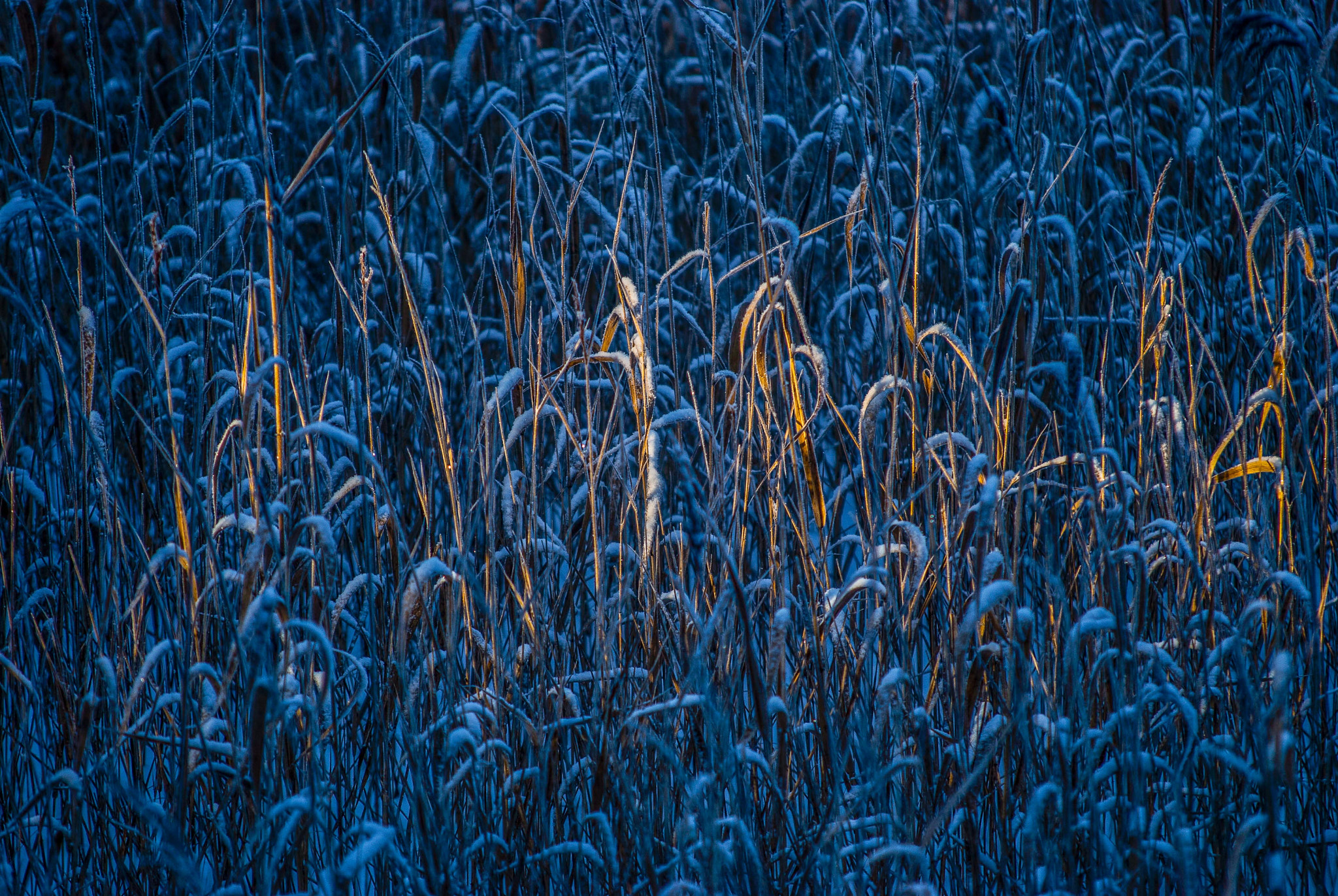 Sigma 70-200mm F2.8 EX DG Macro HSM II sample photo. ... photography