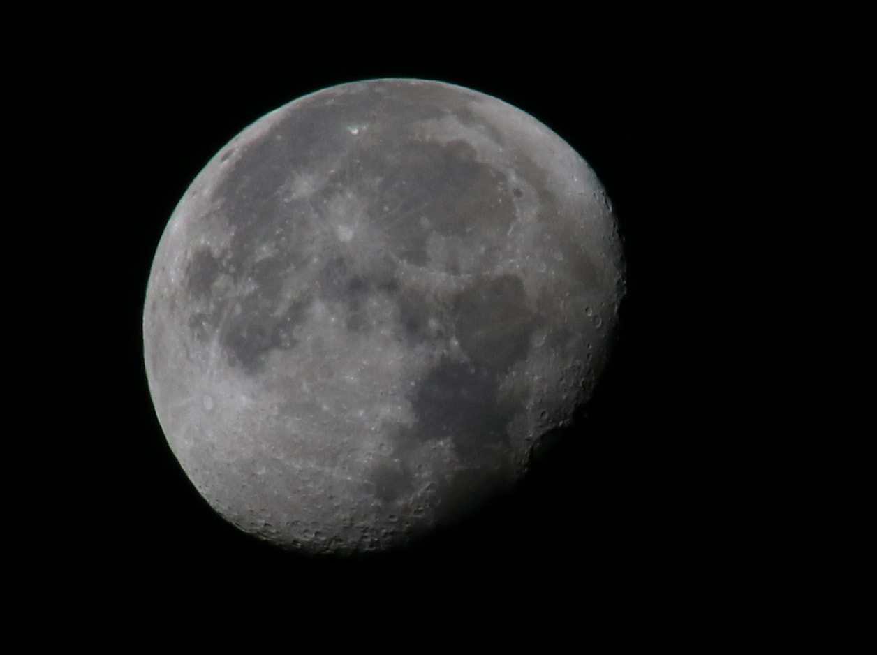 Canon EOS 760D (EOS Rebel T6s / EOS 8000D) sample photo. Waning moon photography