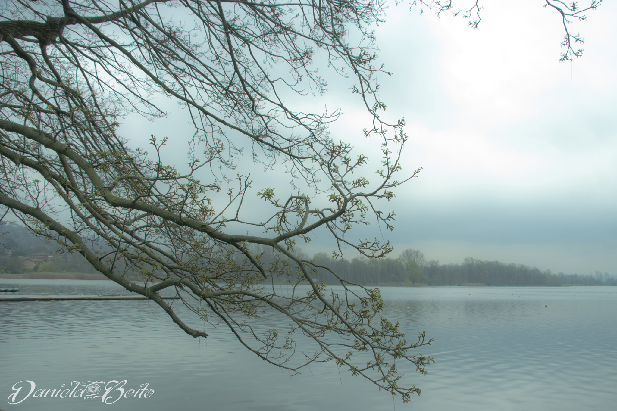 Nikon D80 + Sigma 18-200mm F3.5-6.3 DC sample photo. Poem in nature photography