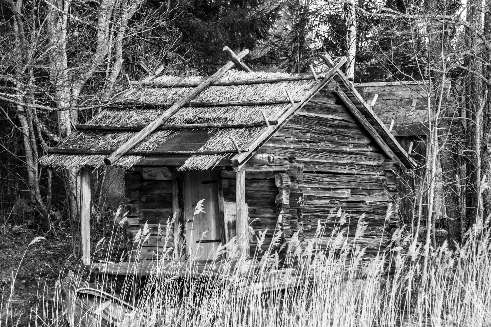 Nikon D7200 + Sigma 70-210mm F4-5.6 UC-II sample photo. Old shed. photography