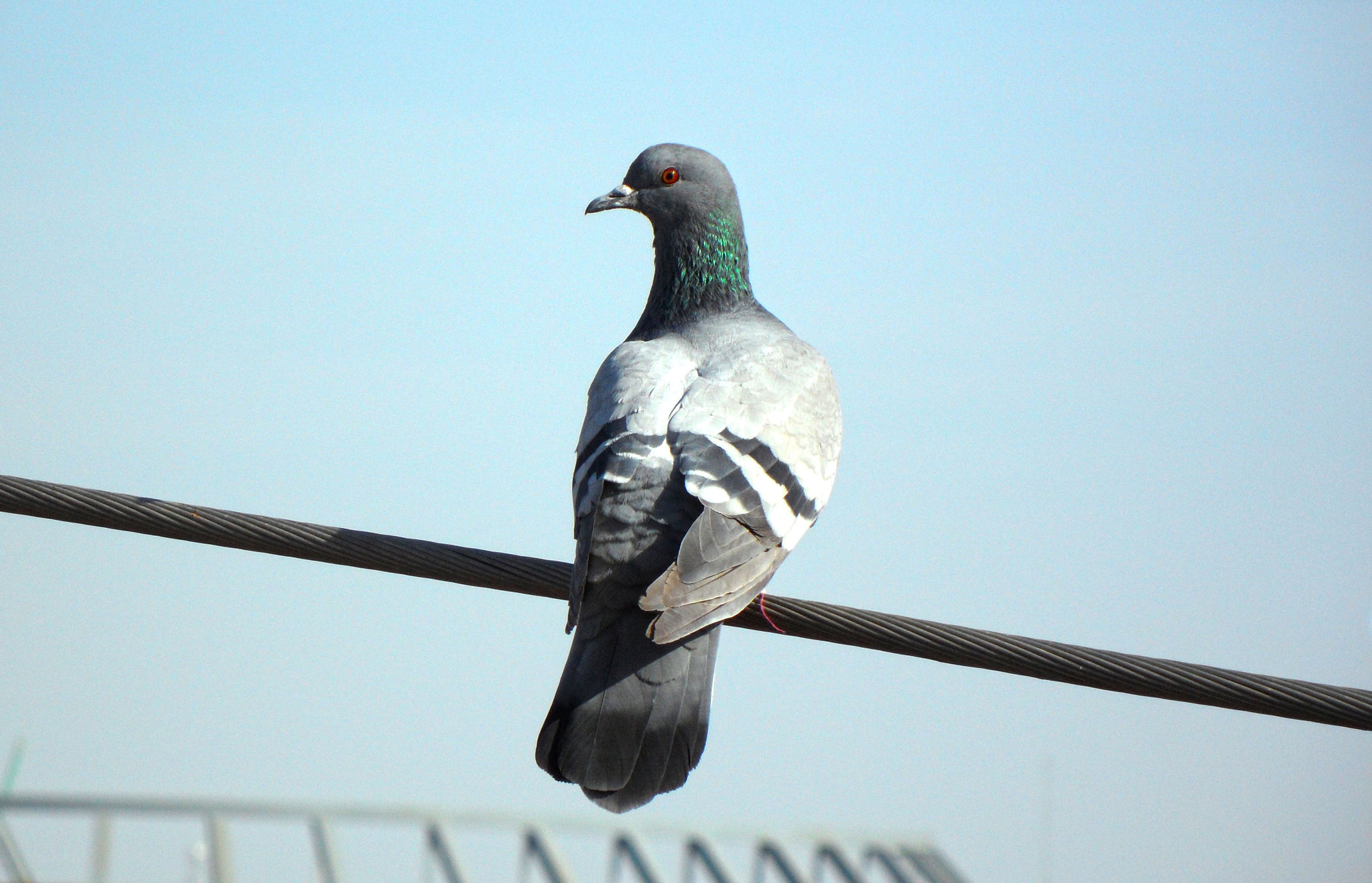 Samsung VLUU WB210, SAMSUNG WB210 sample photo