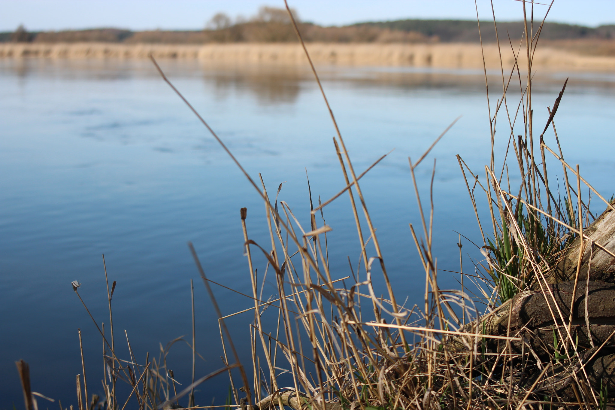 Canon EF 38-76mm f/4.5-5.6 sample photo. River nature photography