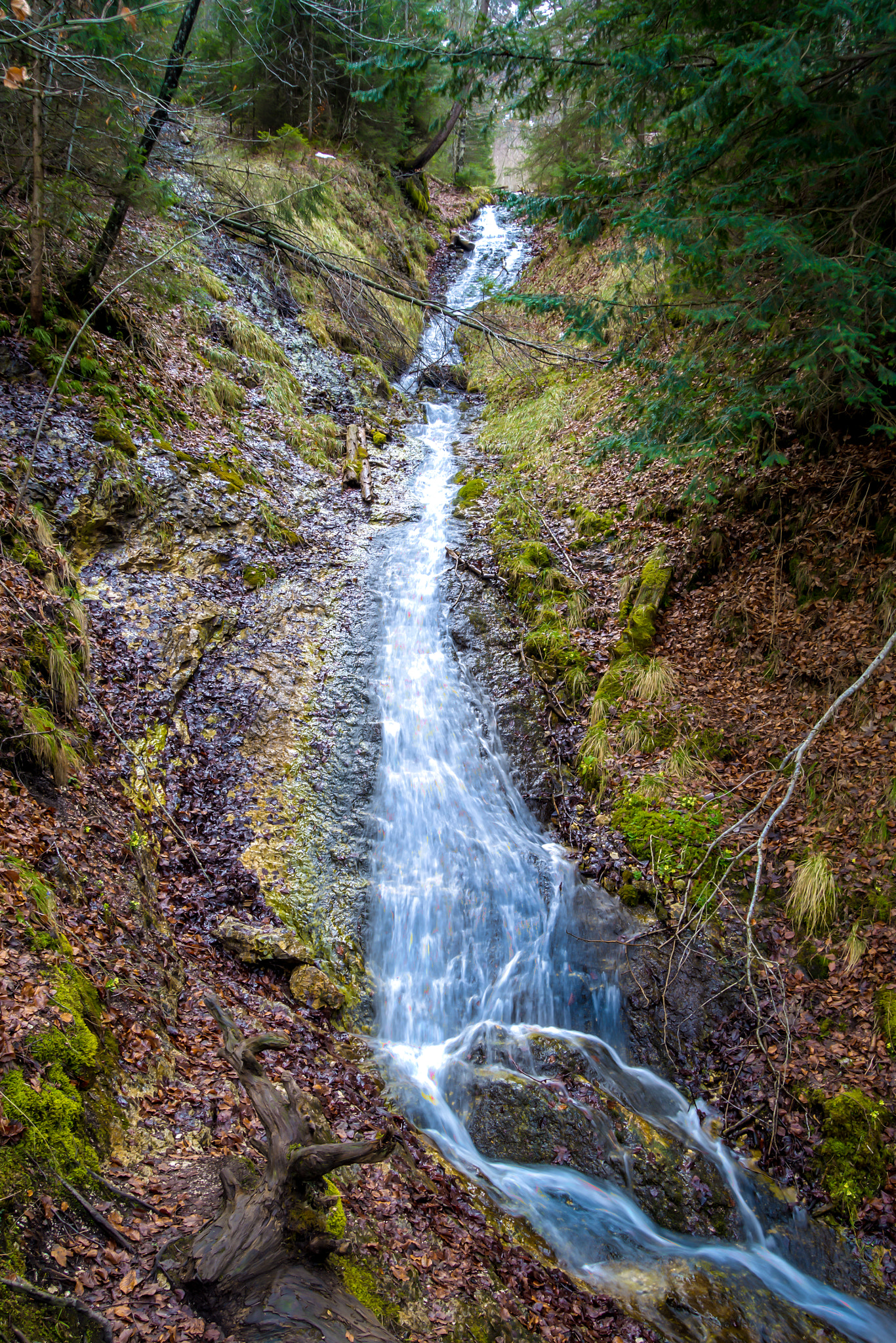 AF Zoom-Nikkor 24-50mm f/3.3-4.5D sample photo. Blue streak photography