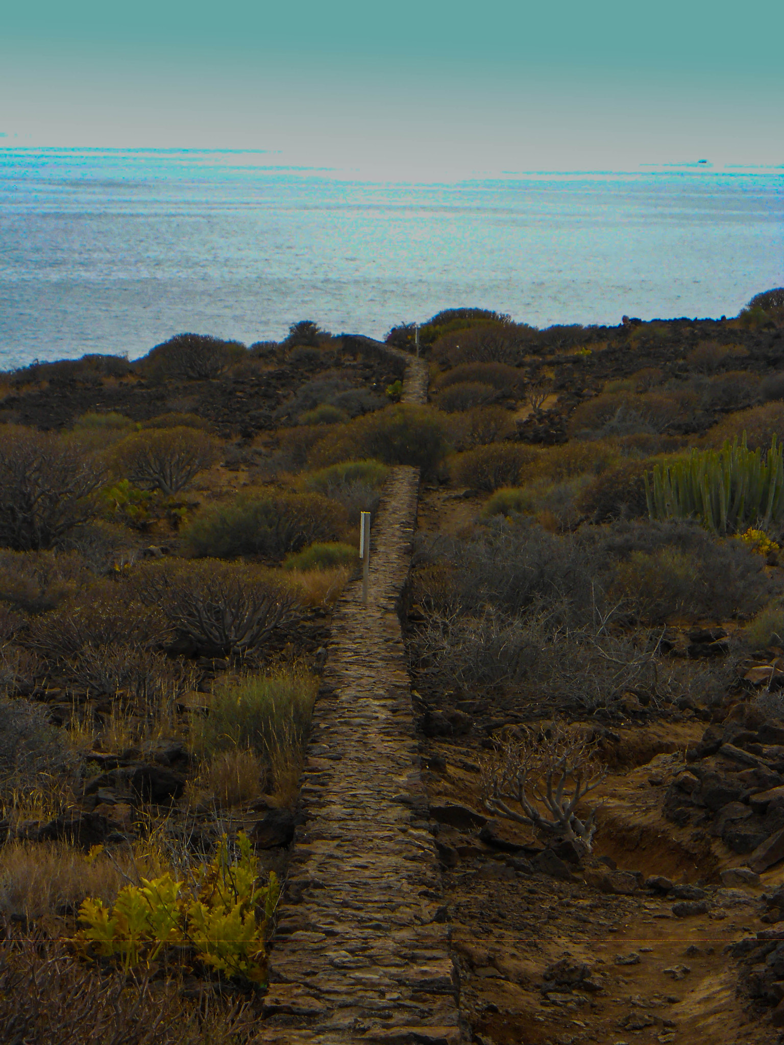 Nikon Coolpix S570 sample photo. La caleta photography