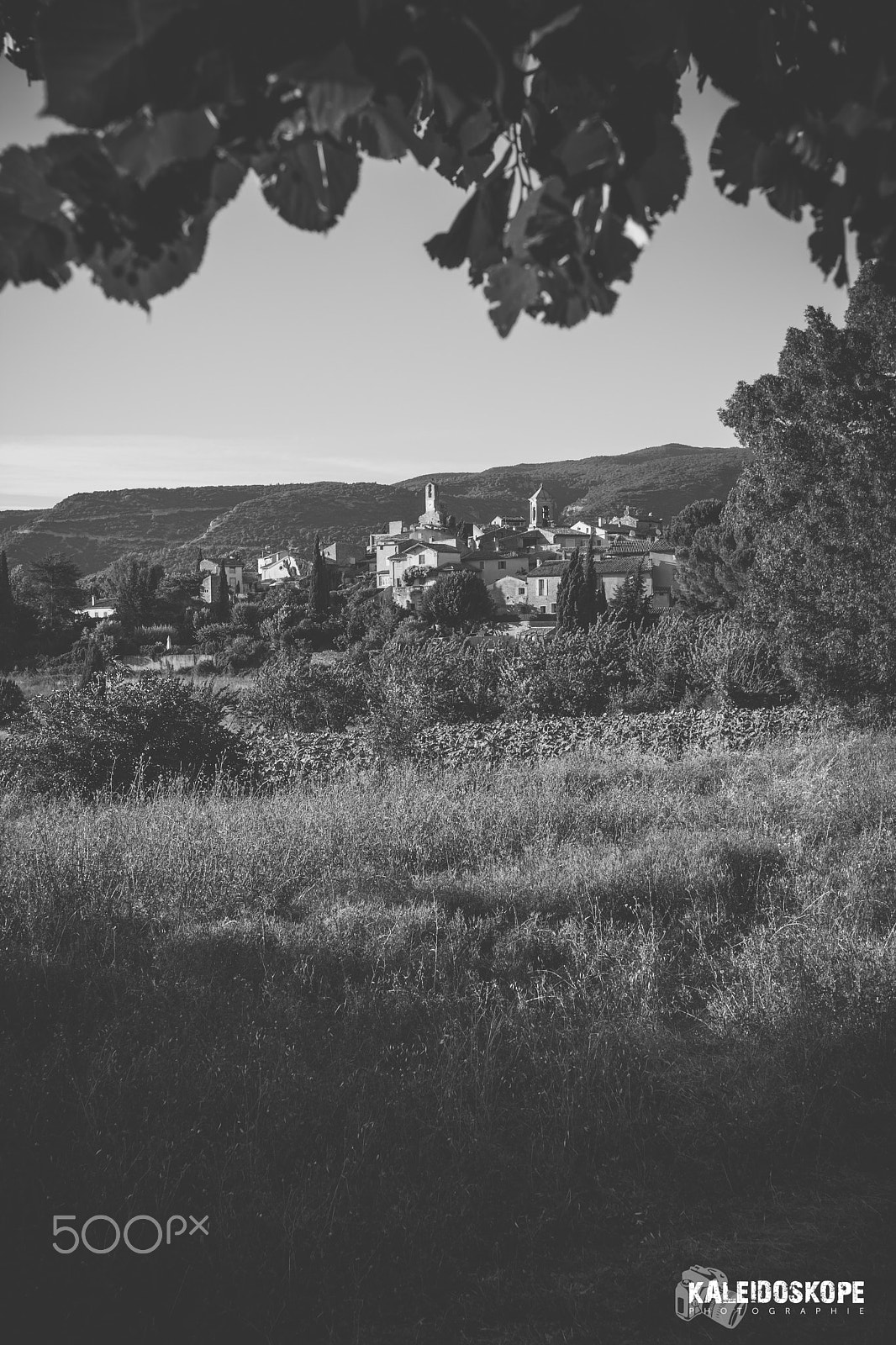 Canon EOS-1D Mark III sample photo. Jay_2133.jpg photography