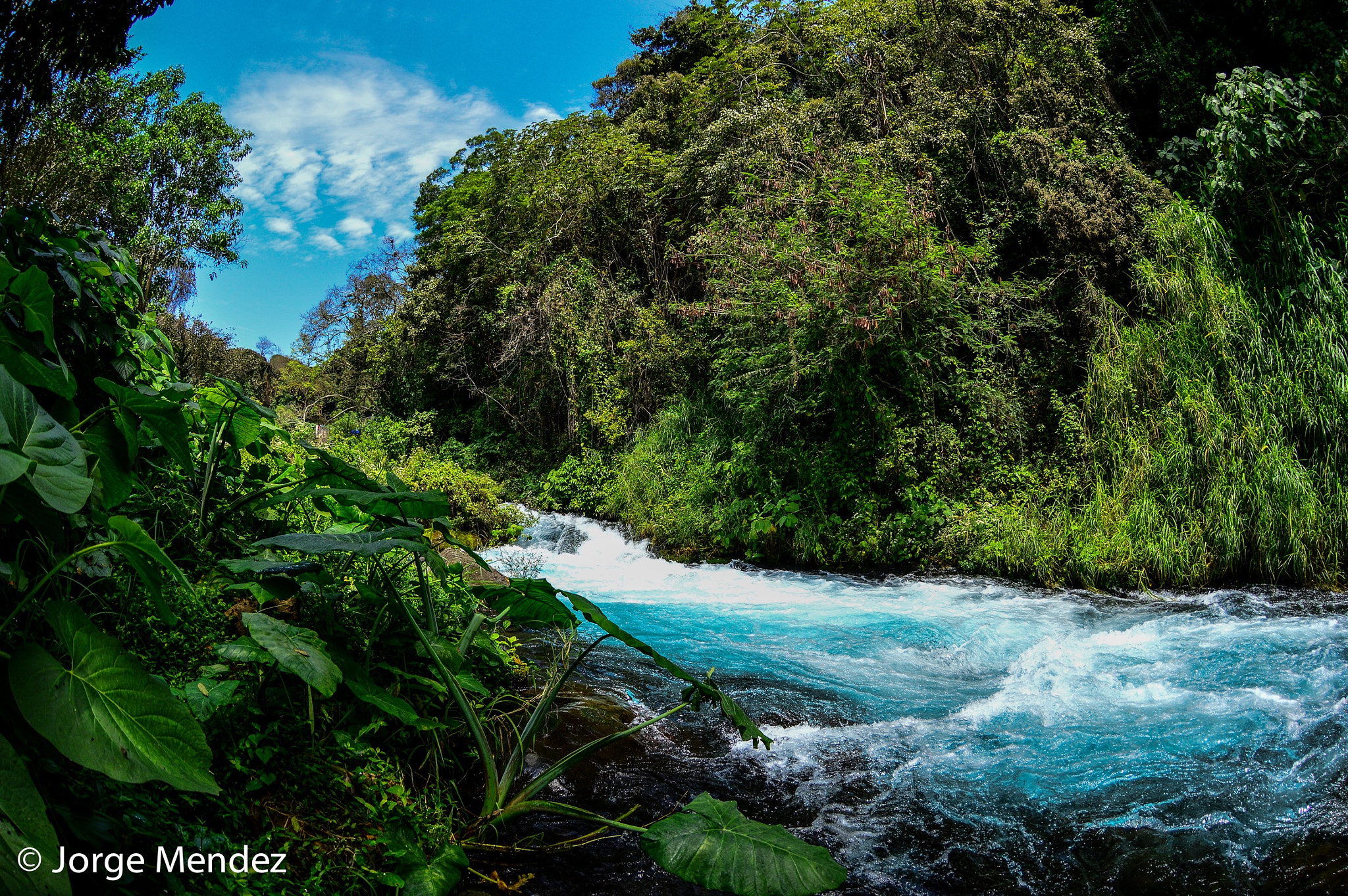 Nikon AF DX Fisheye-Nikkor 10.5mm F2.8G ED sample photo. River calm photography