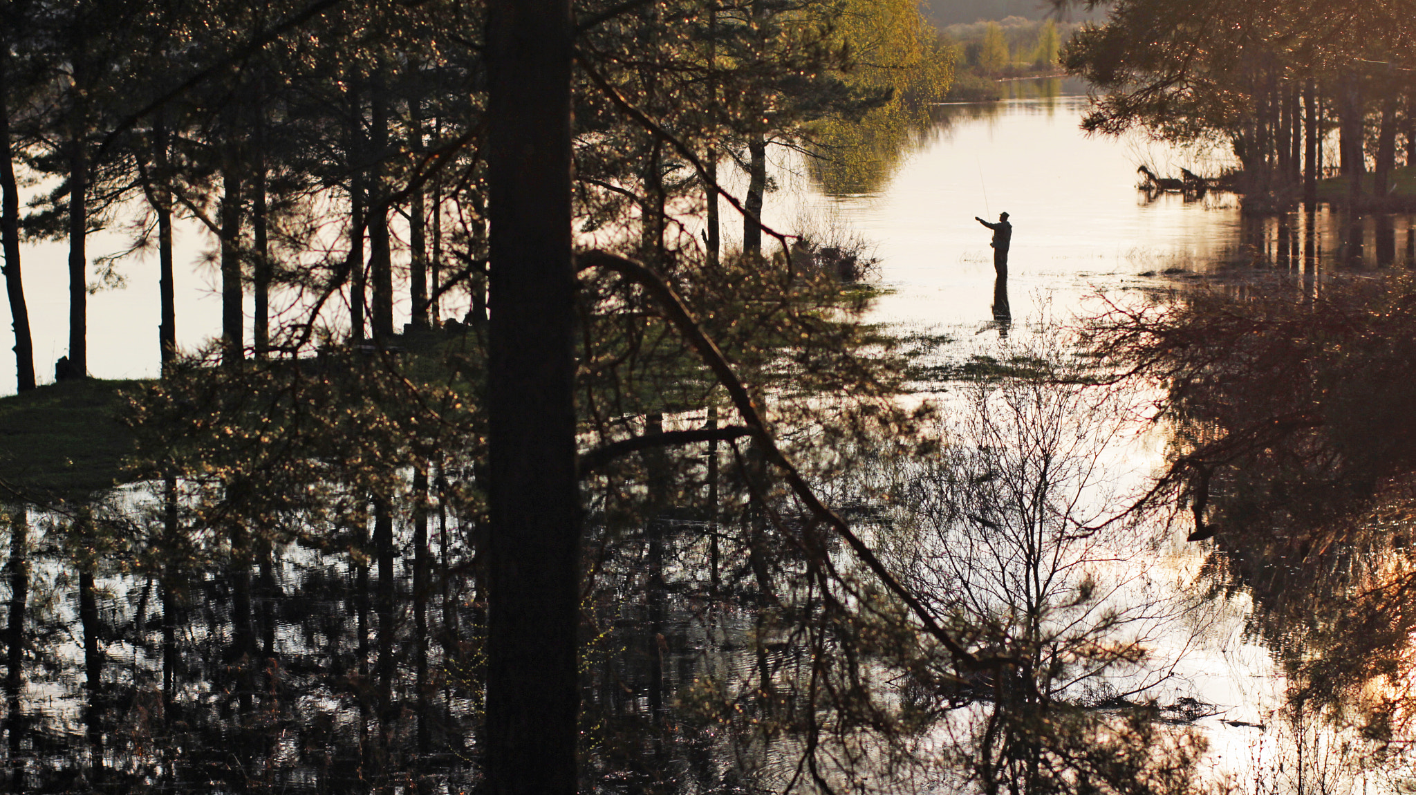 ZEISS Planar T* 50mm F1.4 sample photo. Wildlife on one photography