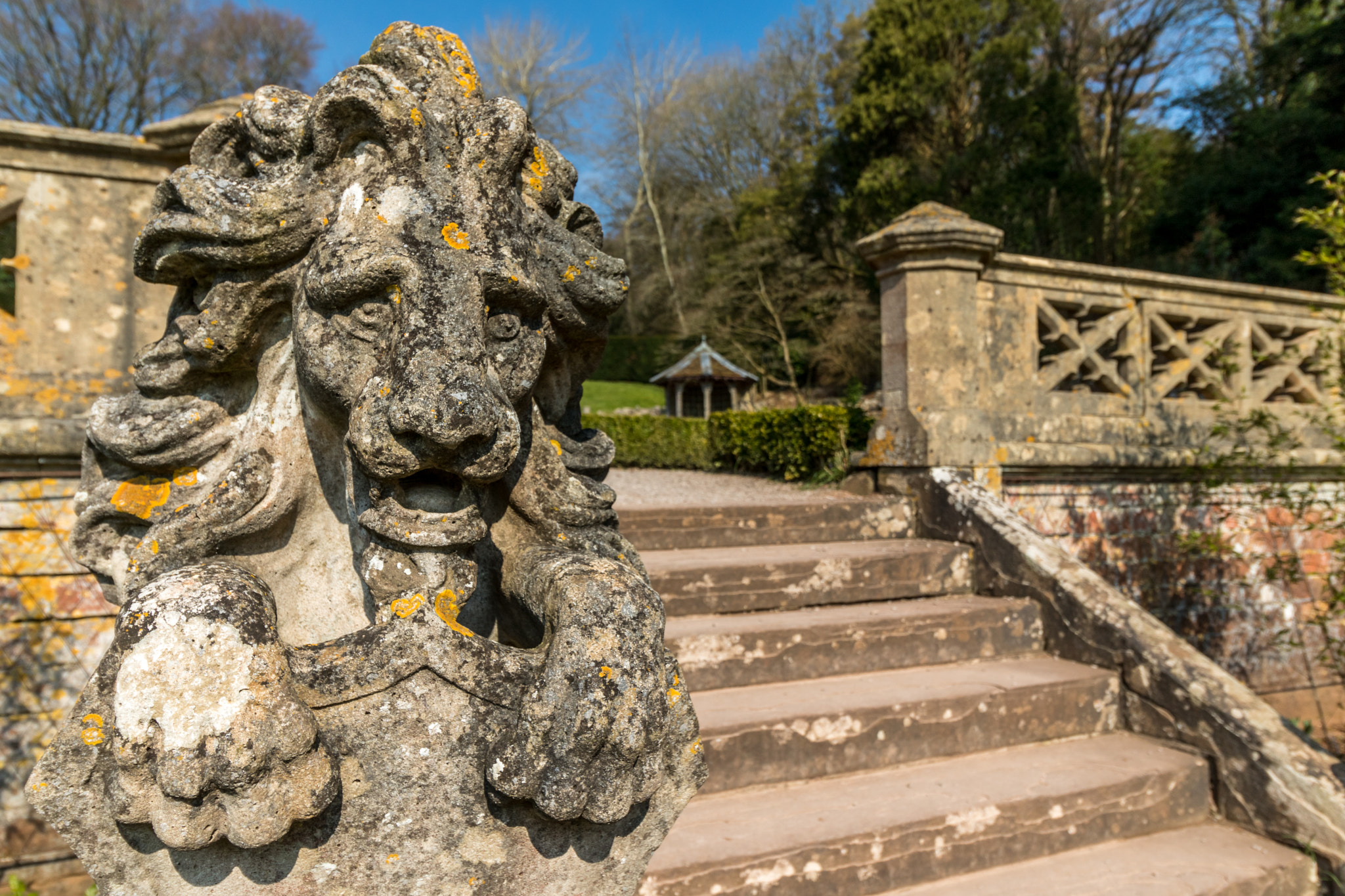 Canon EF-S 10-18mm F4.5–5.6 IS STM sample photo. Garden lion photography